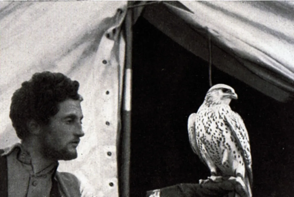 Hans-Robert Knoespel
