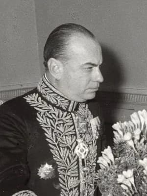 Dimitrios Nikolareizis