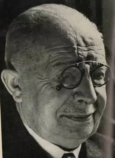 Firmin van den Bosch
