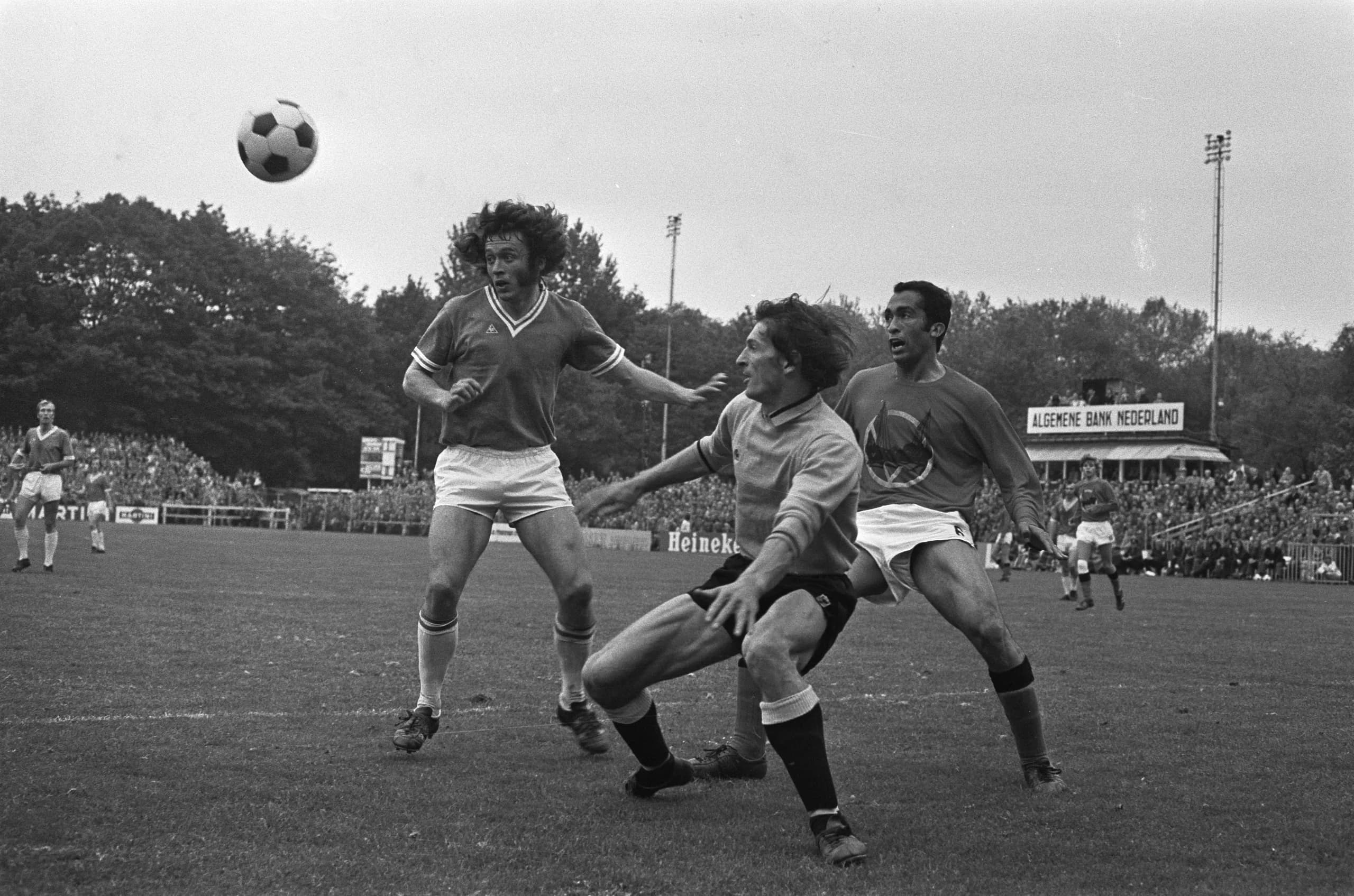 Harry van Oosterhout