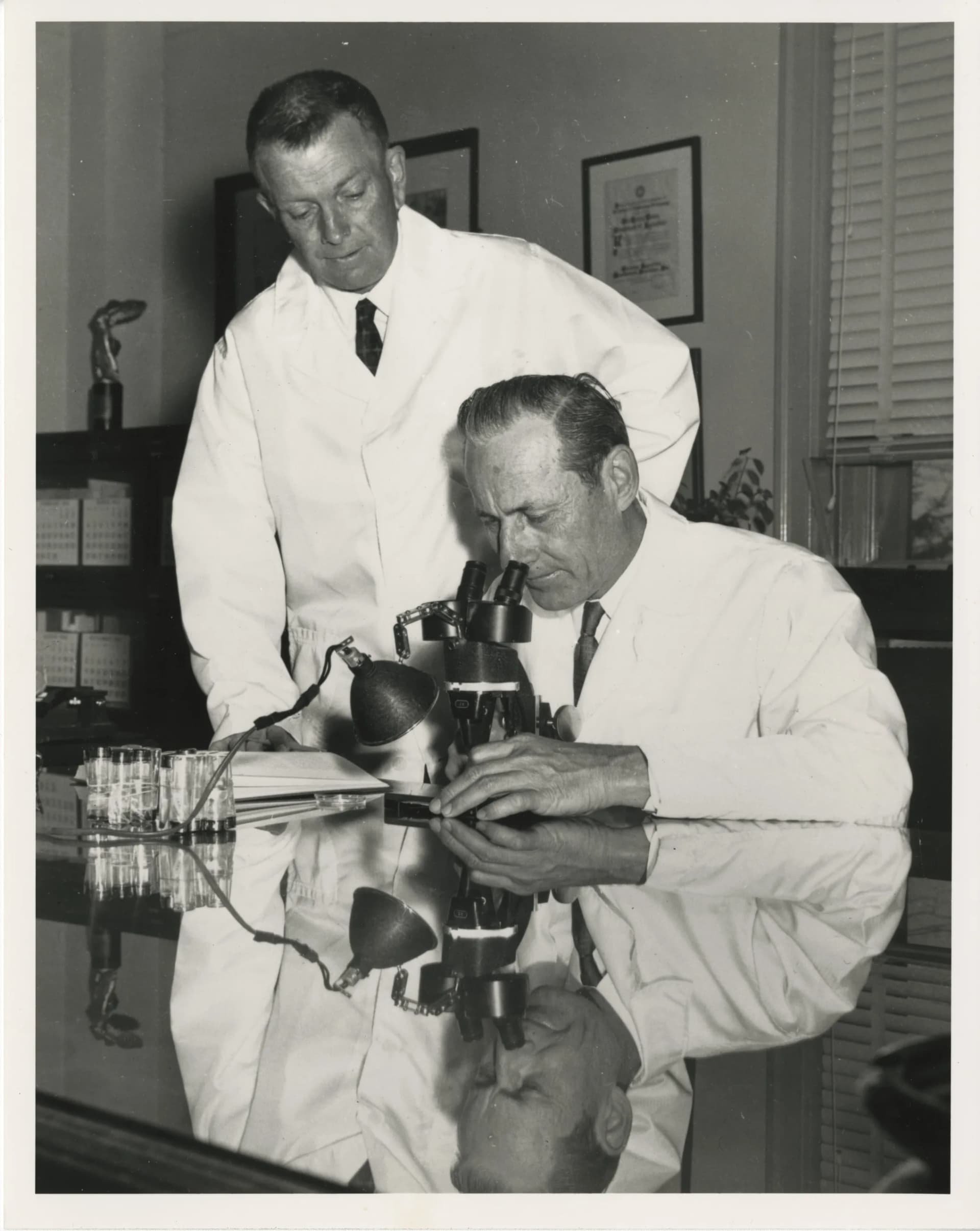 Raymond C. Bushland