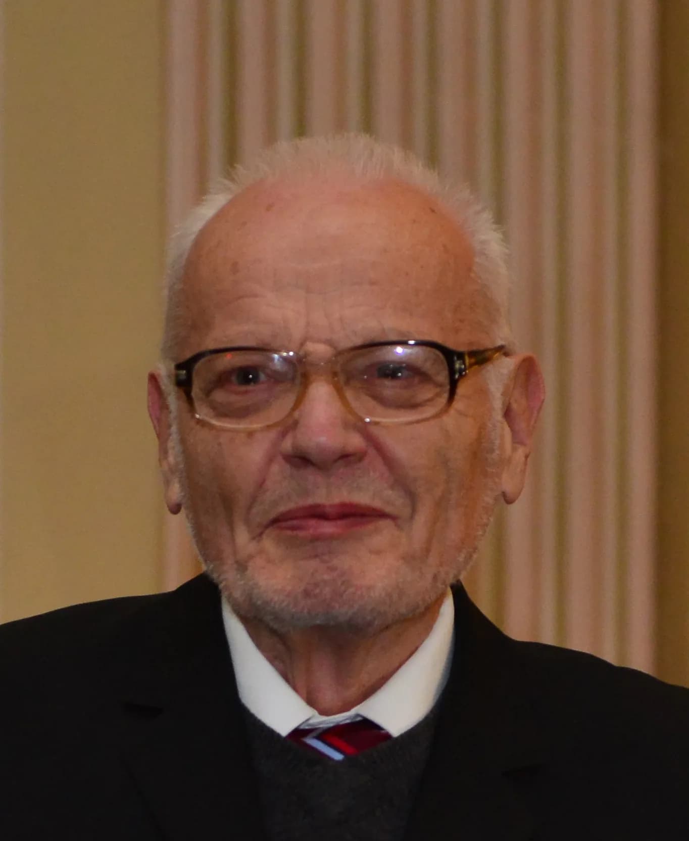Emil Paleček