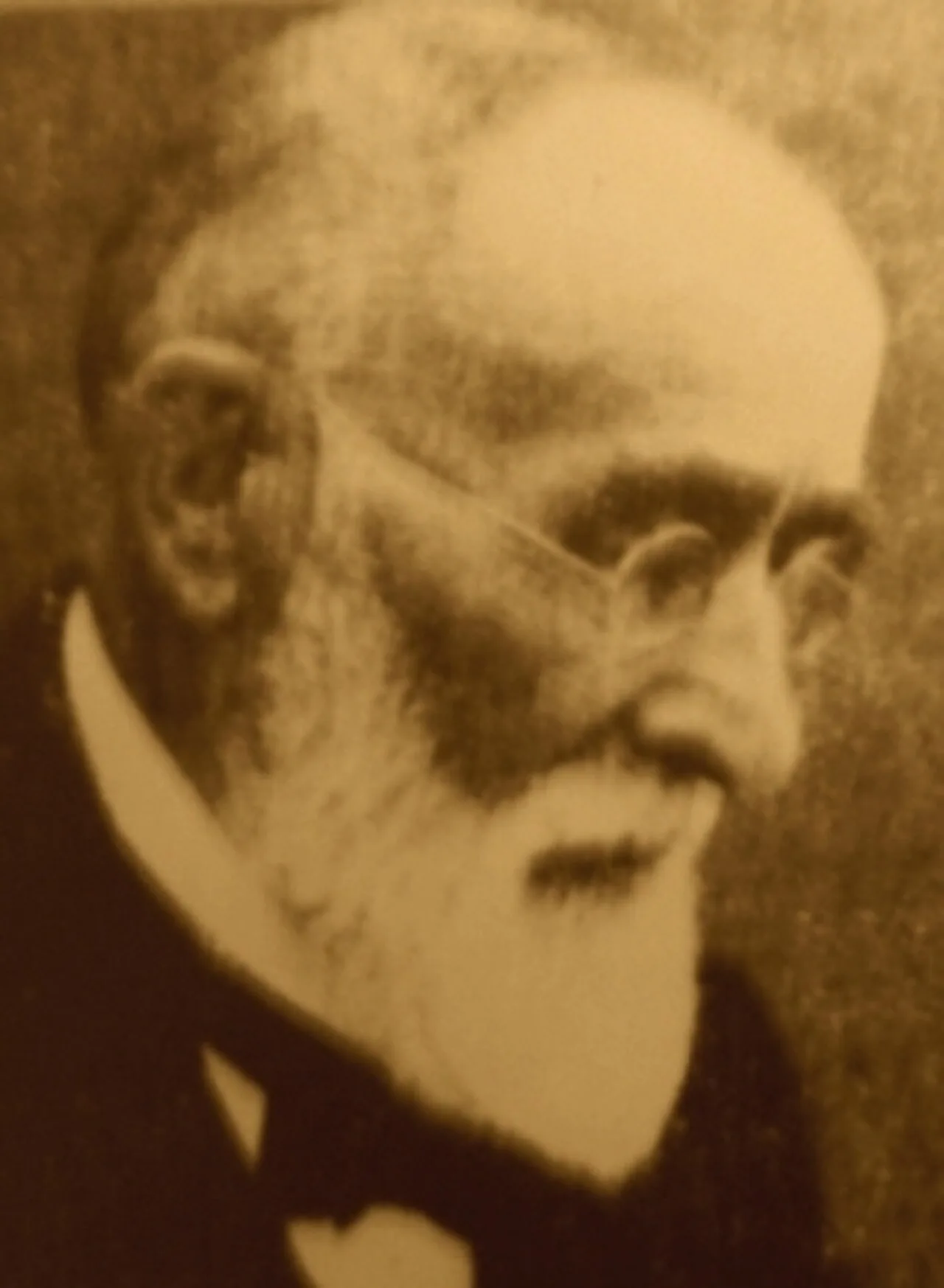 Heinrich Knoche