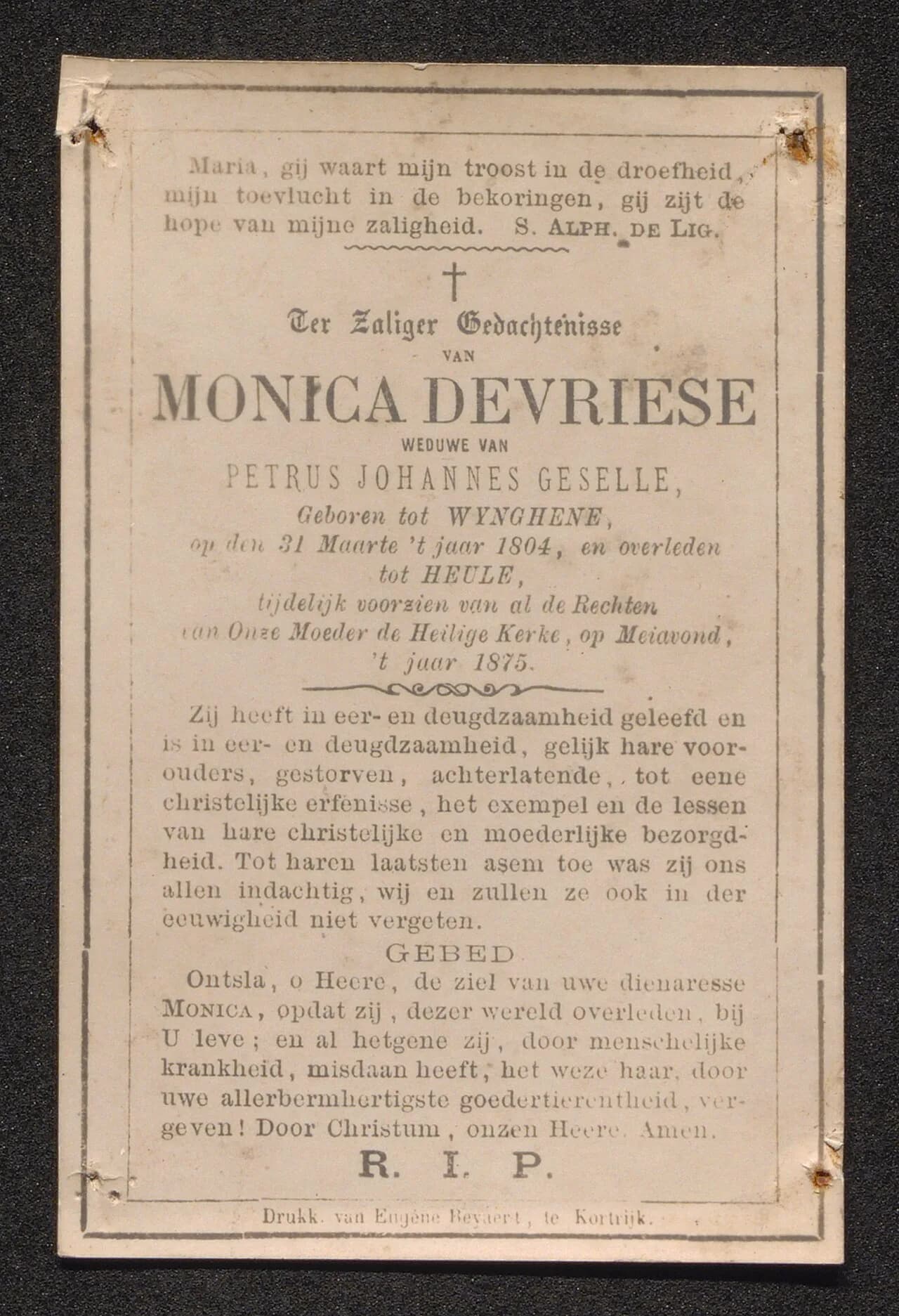 Monica De Vriese