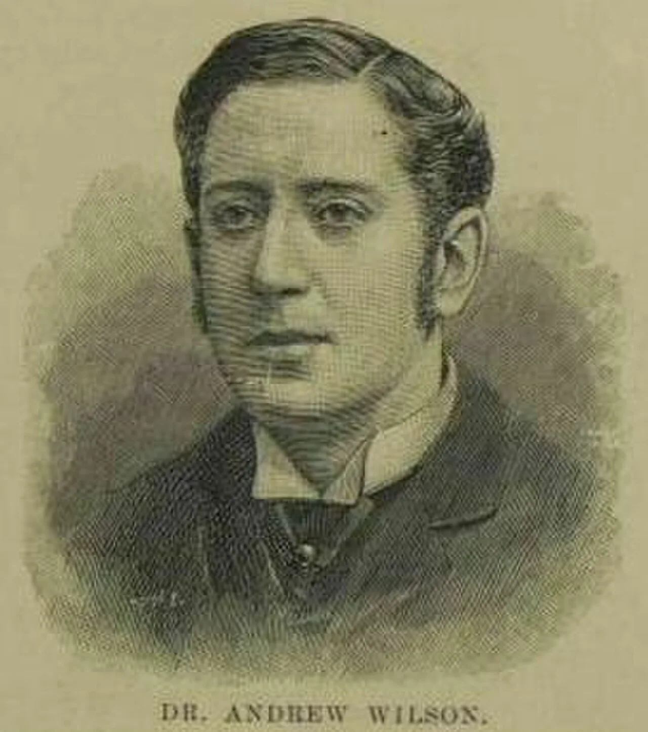 Andrew Wilson