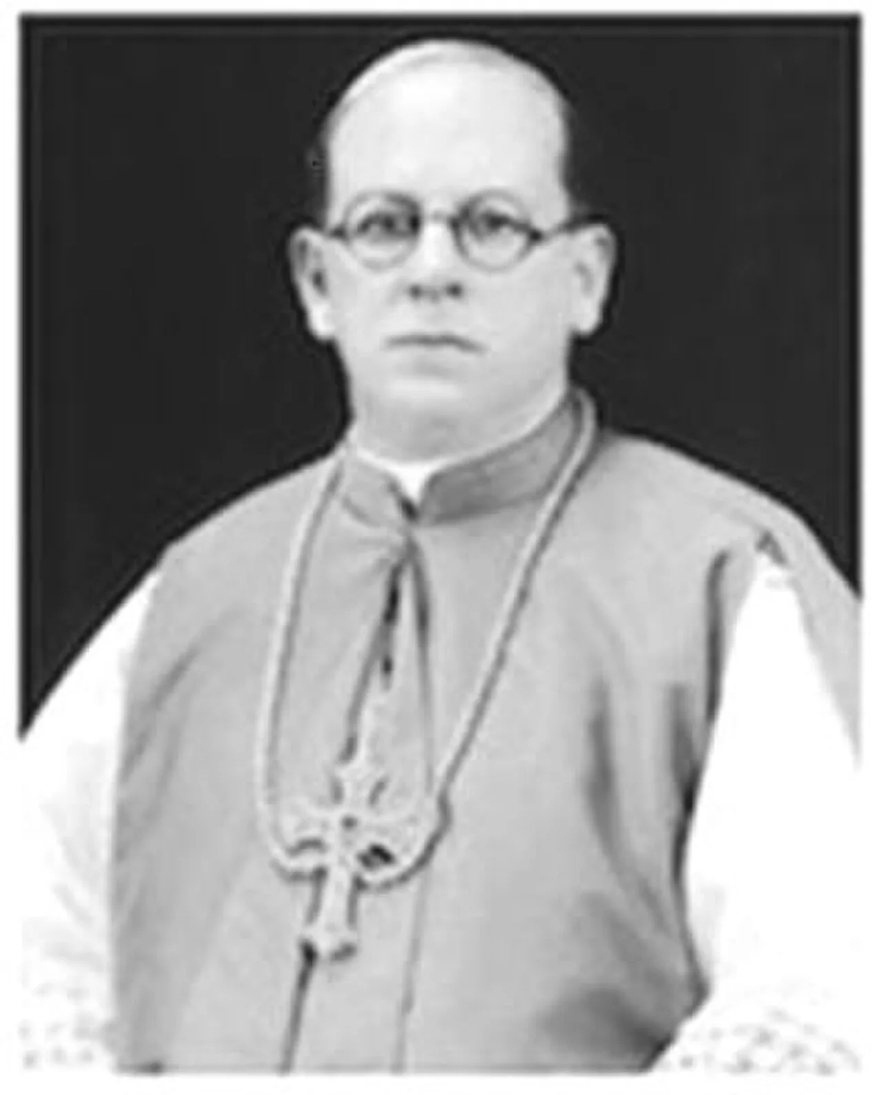 William Aloysius Rice