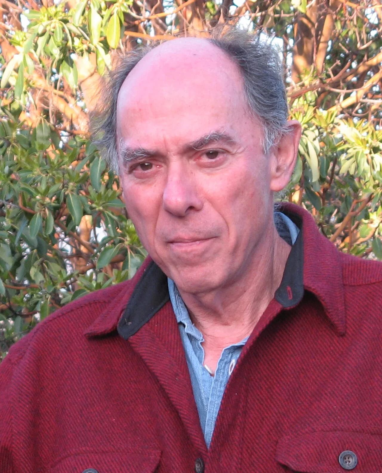 Leslie David Gottlieb