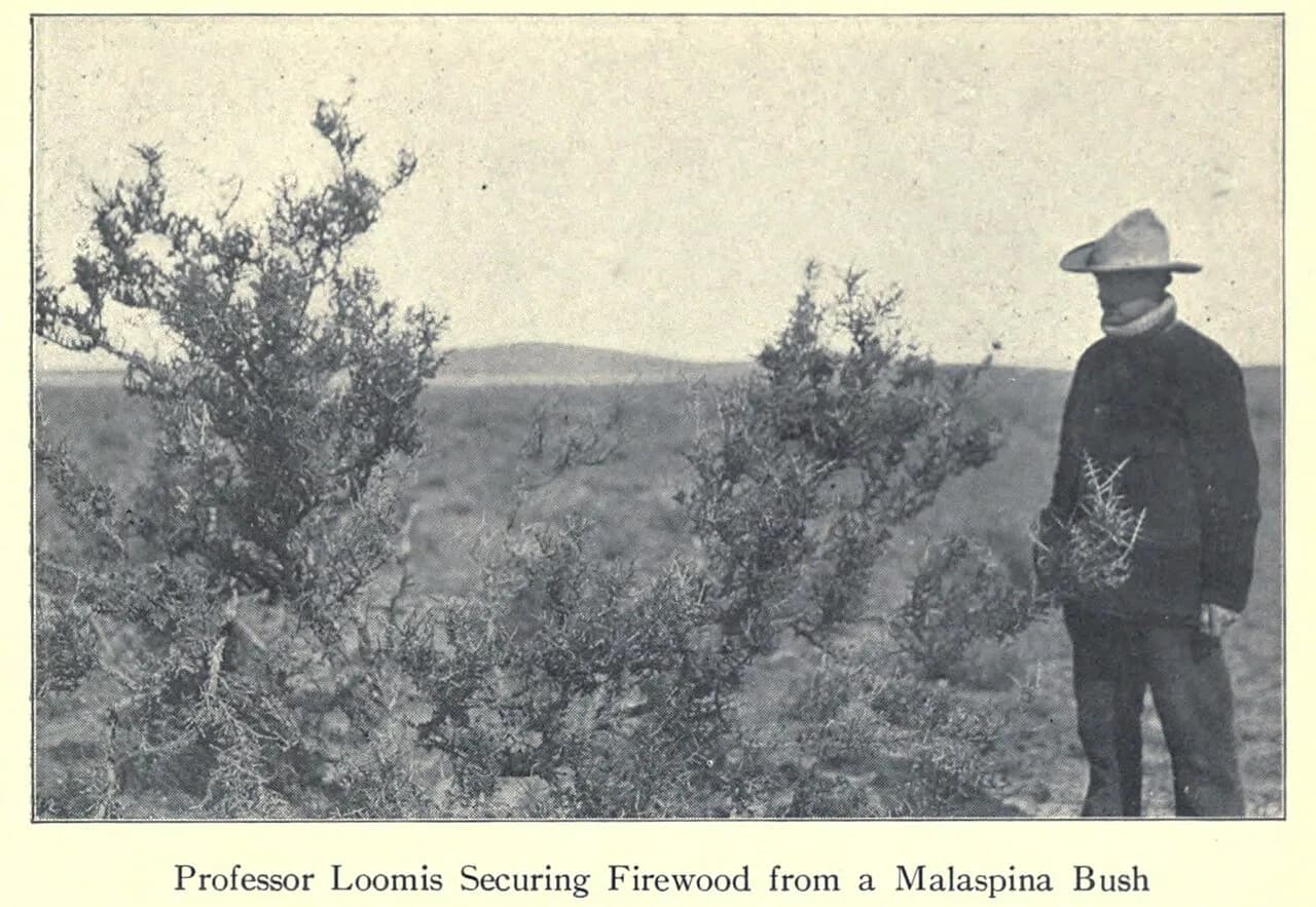 Frederic Brewster Loomis