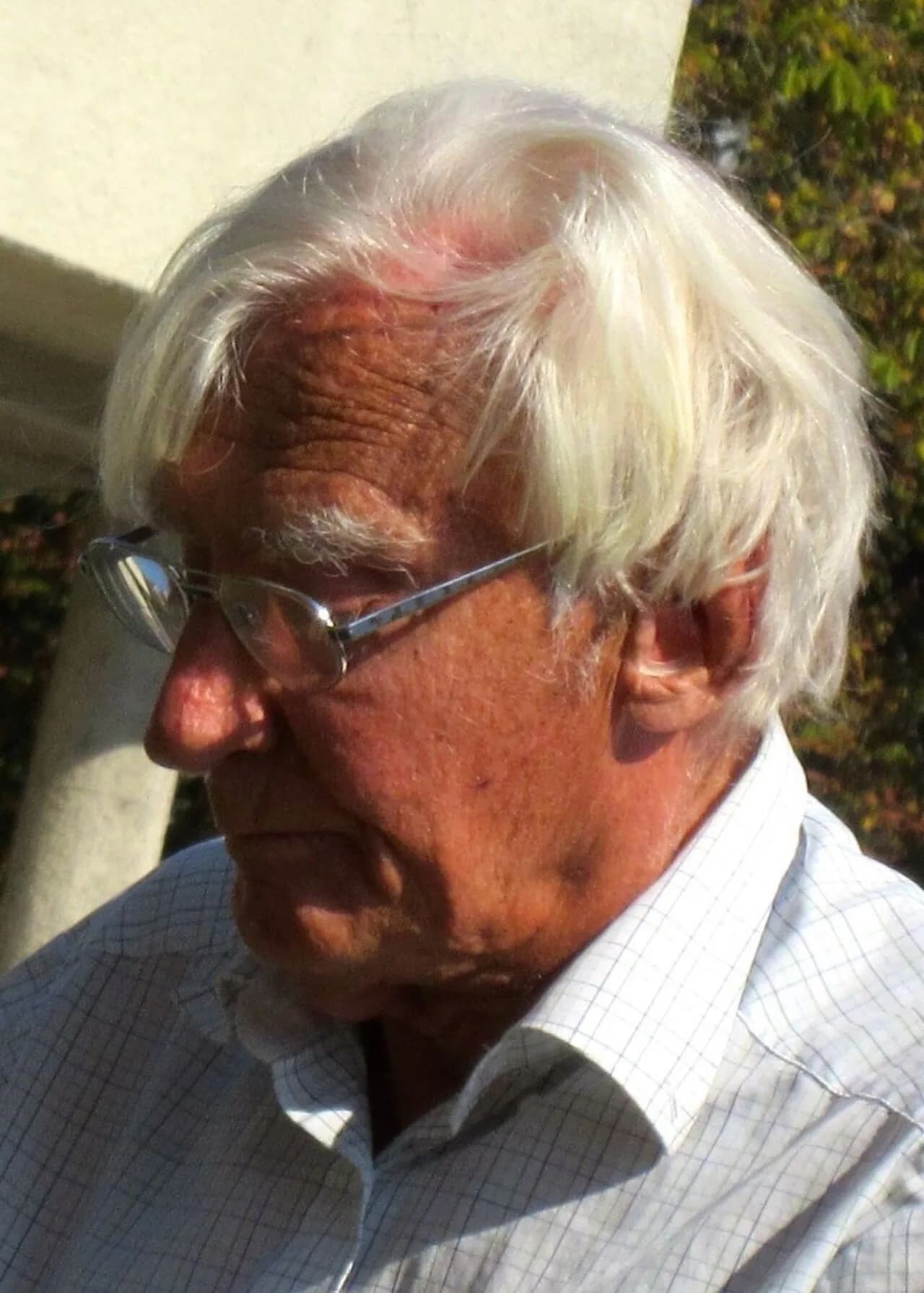Helm Stierlin