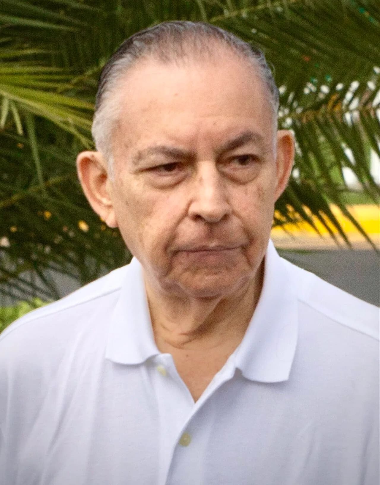 Carlos Tünnermann Bernheim