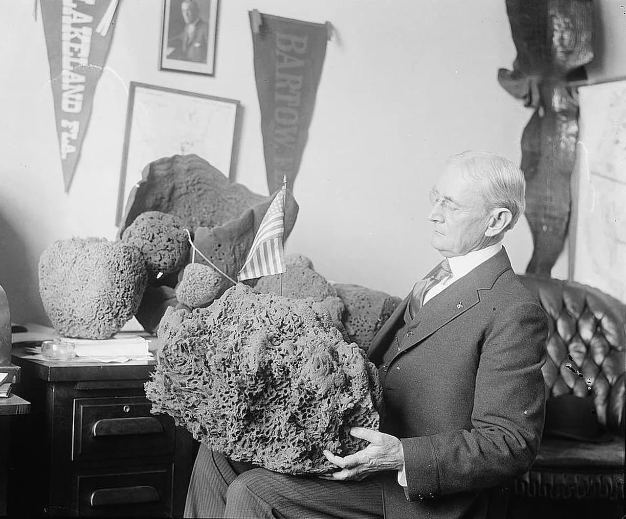 Herbert J. Drane