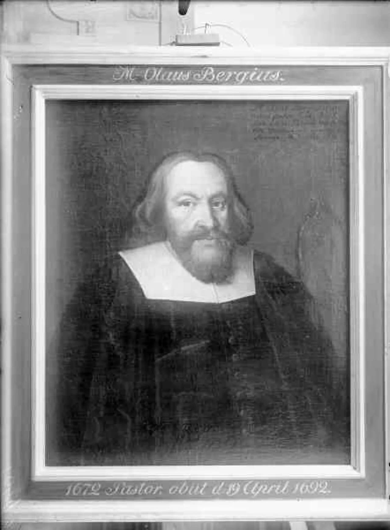 Olaus Andreae Bergius