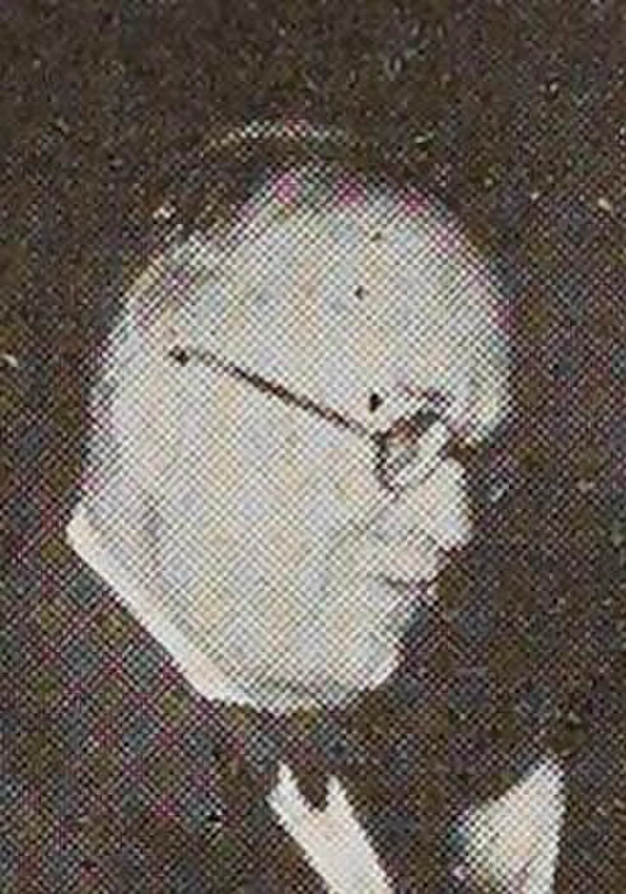 Roger Verlomme