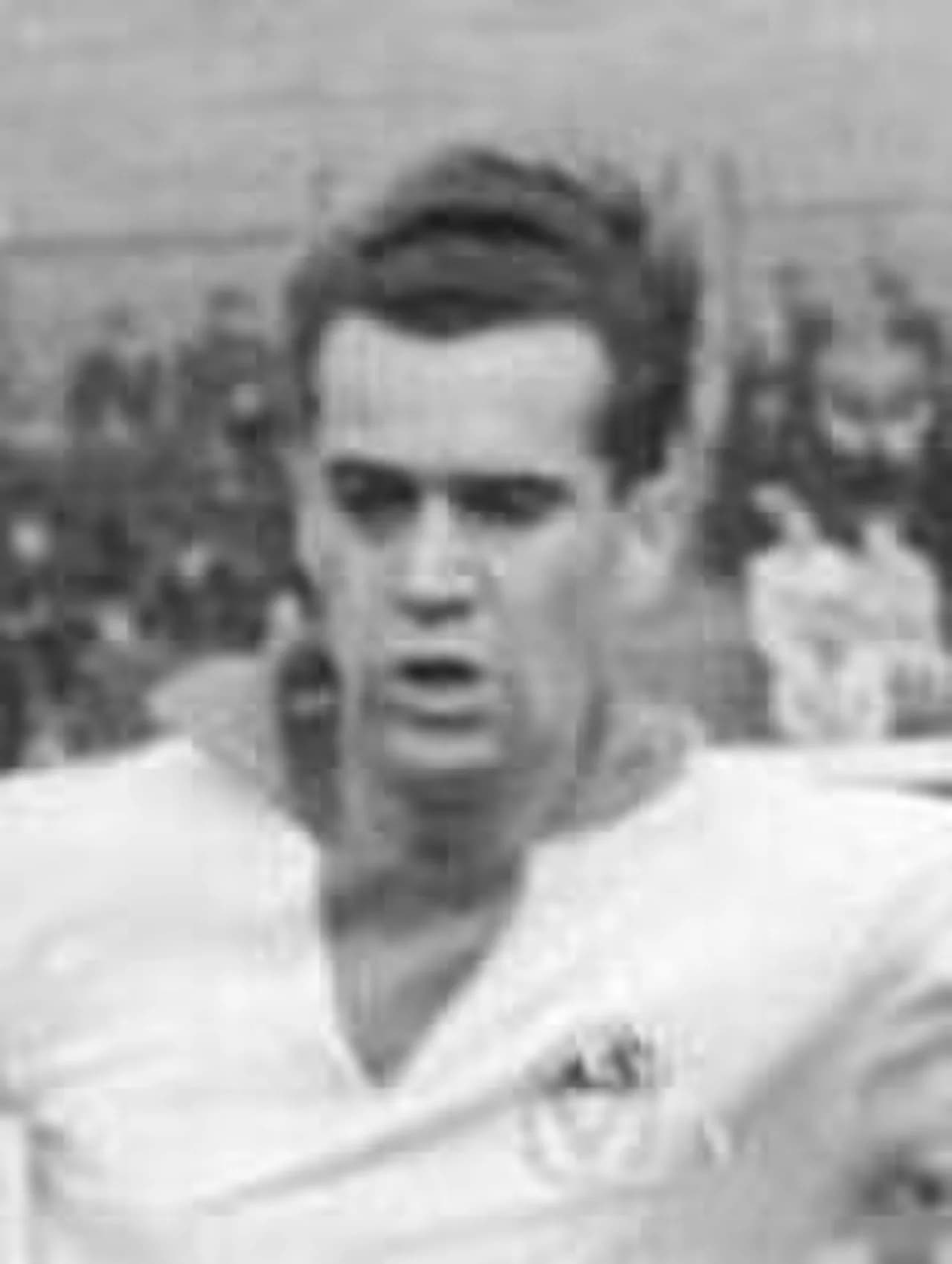 Horst Kohle