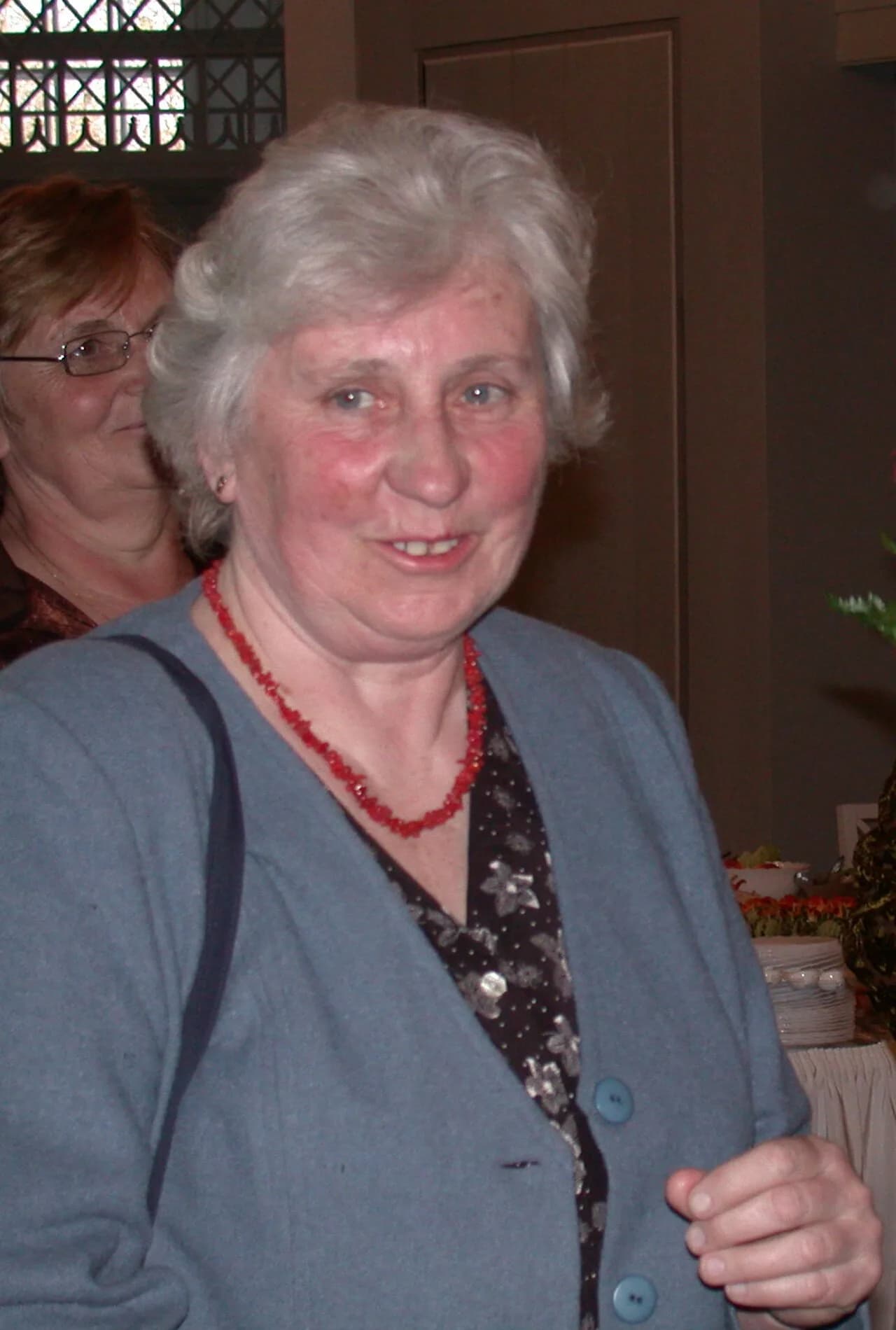 Valli Porgasaar