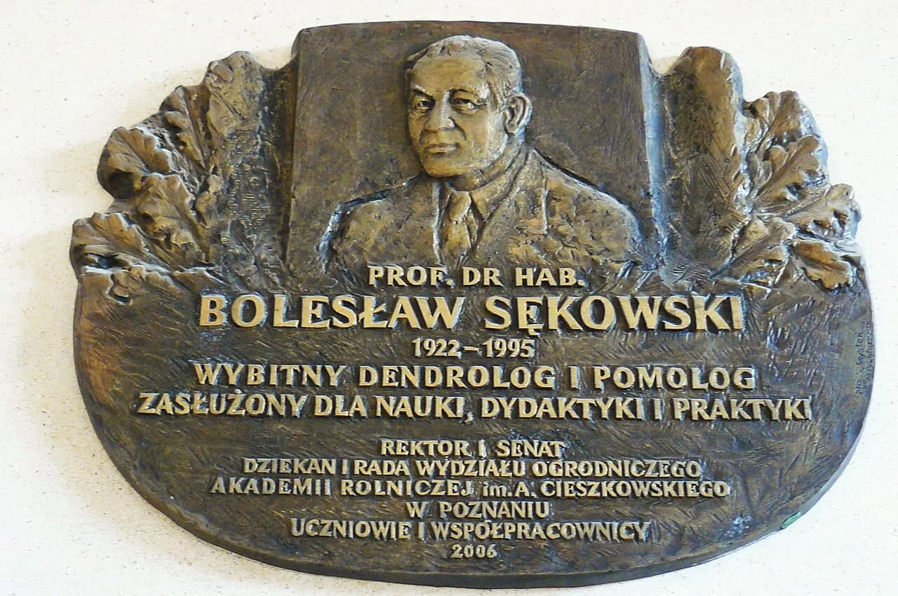 Bolesław Sękowski