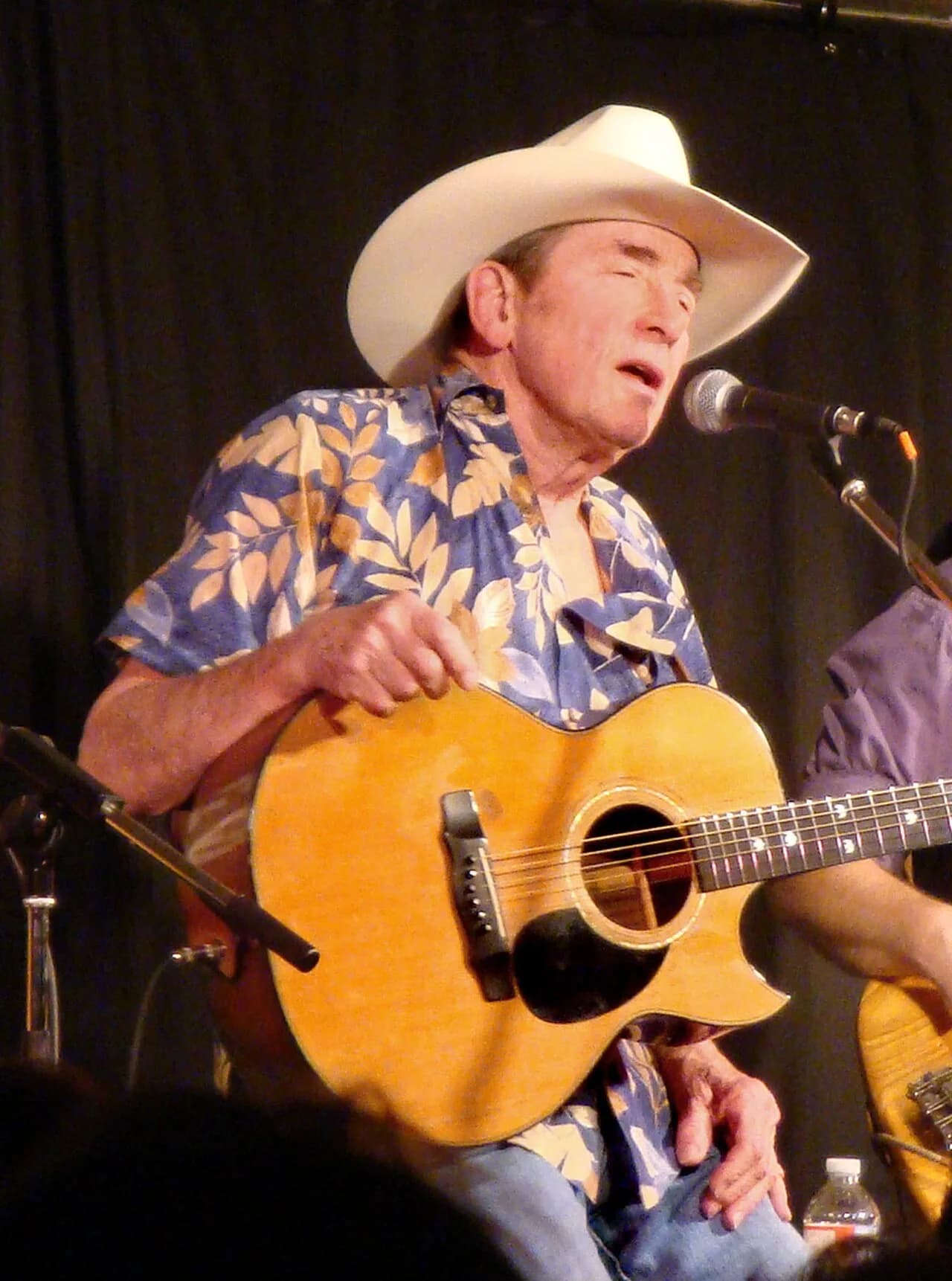 Ian Tyson
