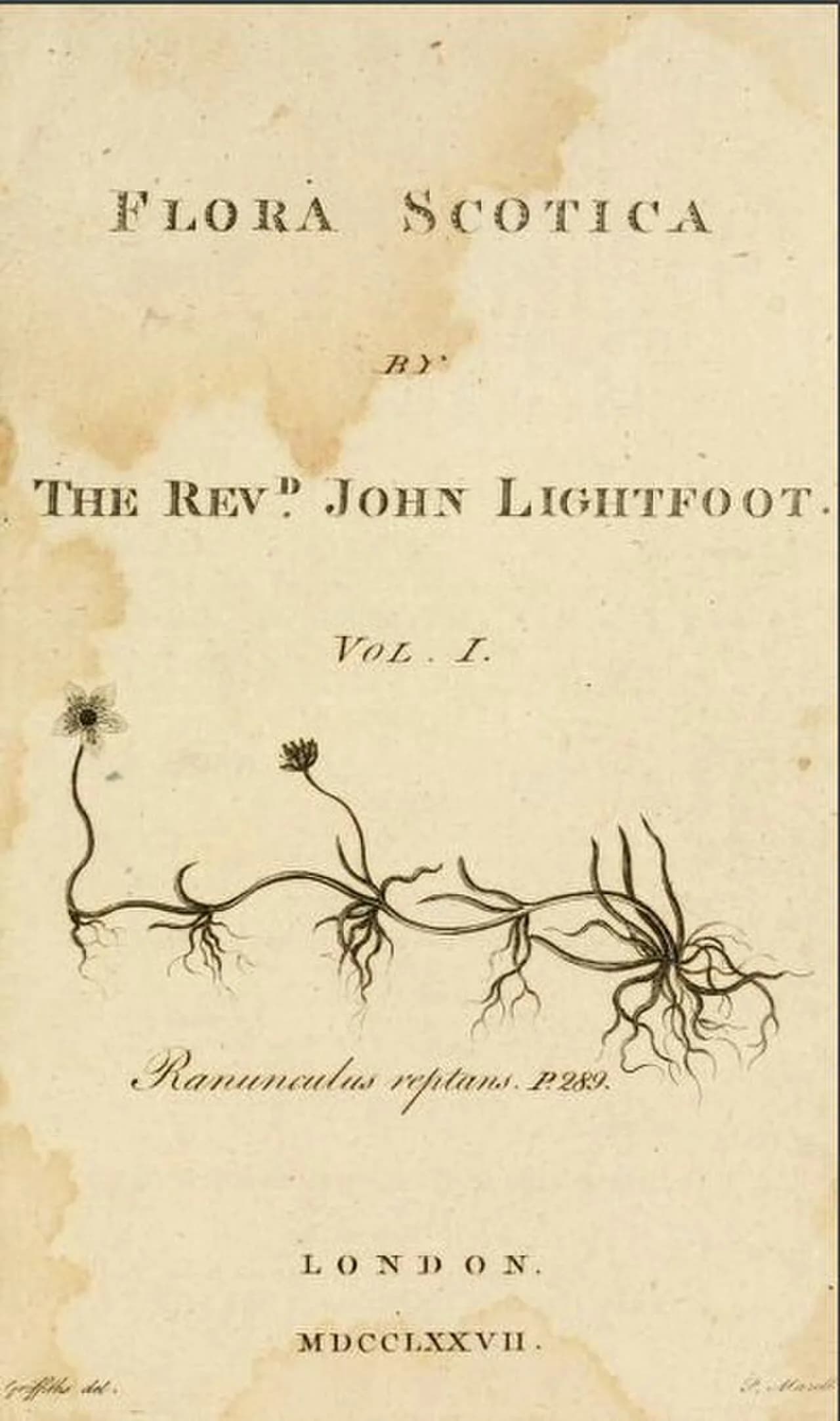 John Lightfoot