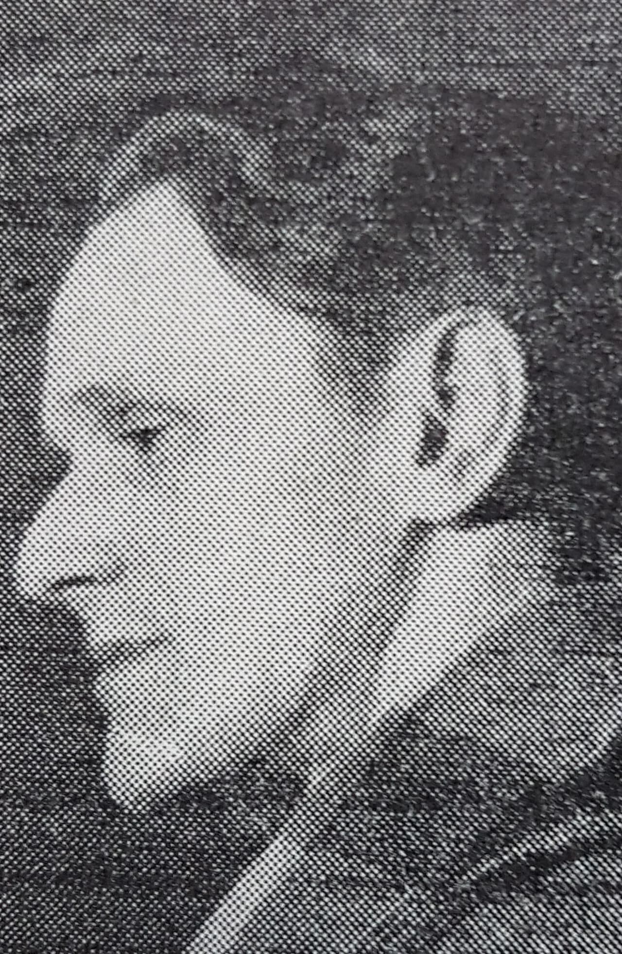 Bo Notini