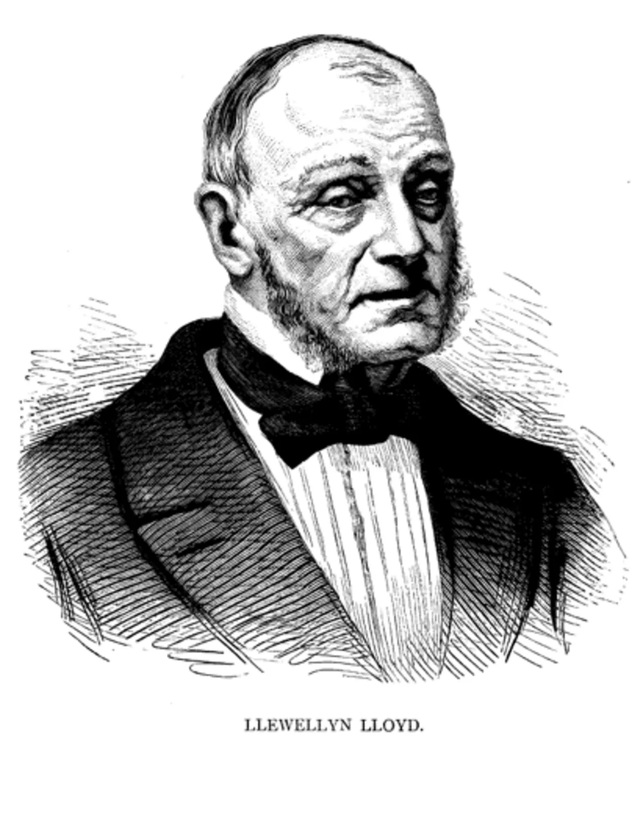Llewelyn Lloyd