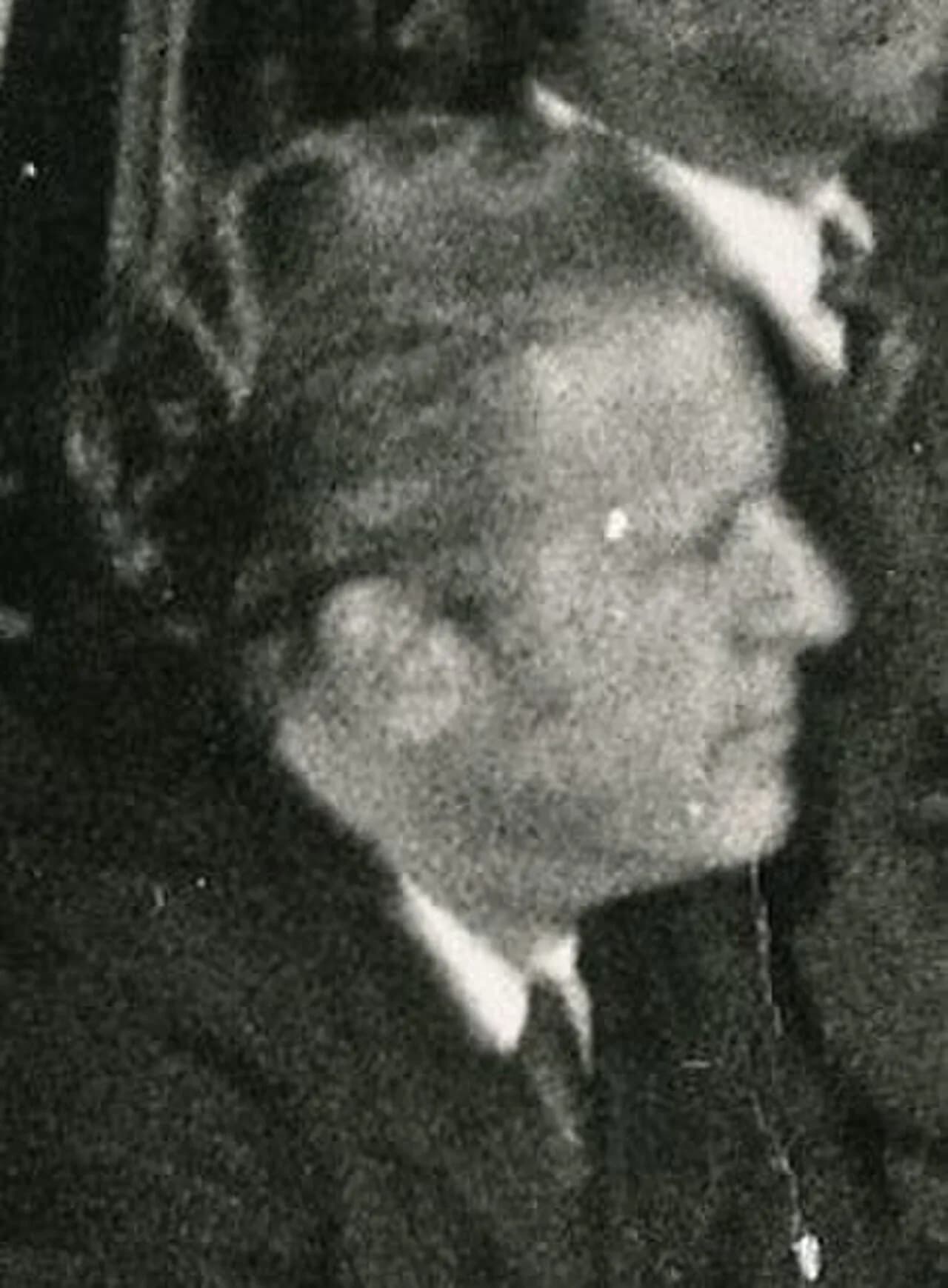 Nelson Pedrini