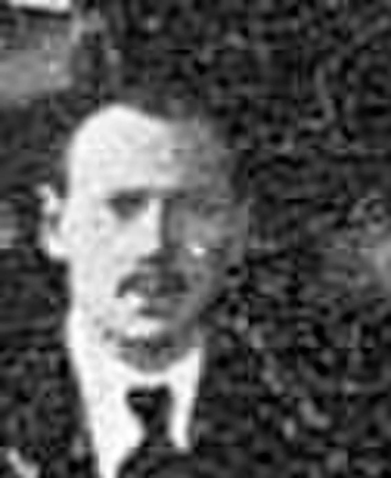 Moses Navumovich Shapira