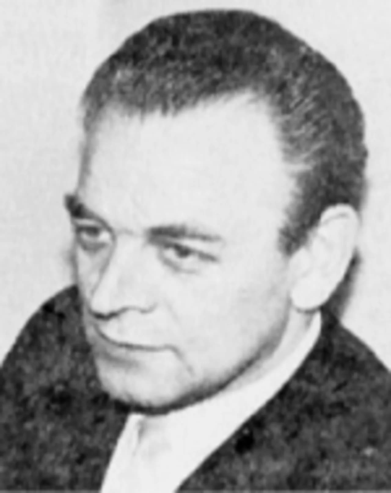 Heini Johansen