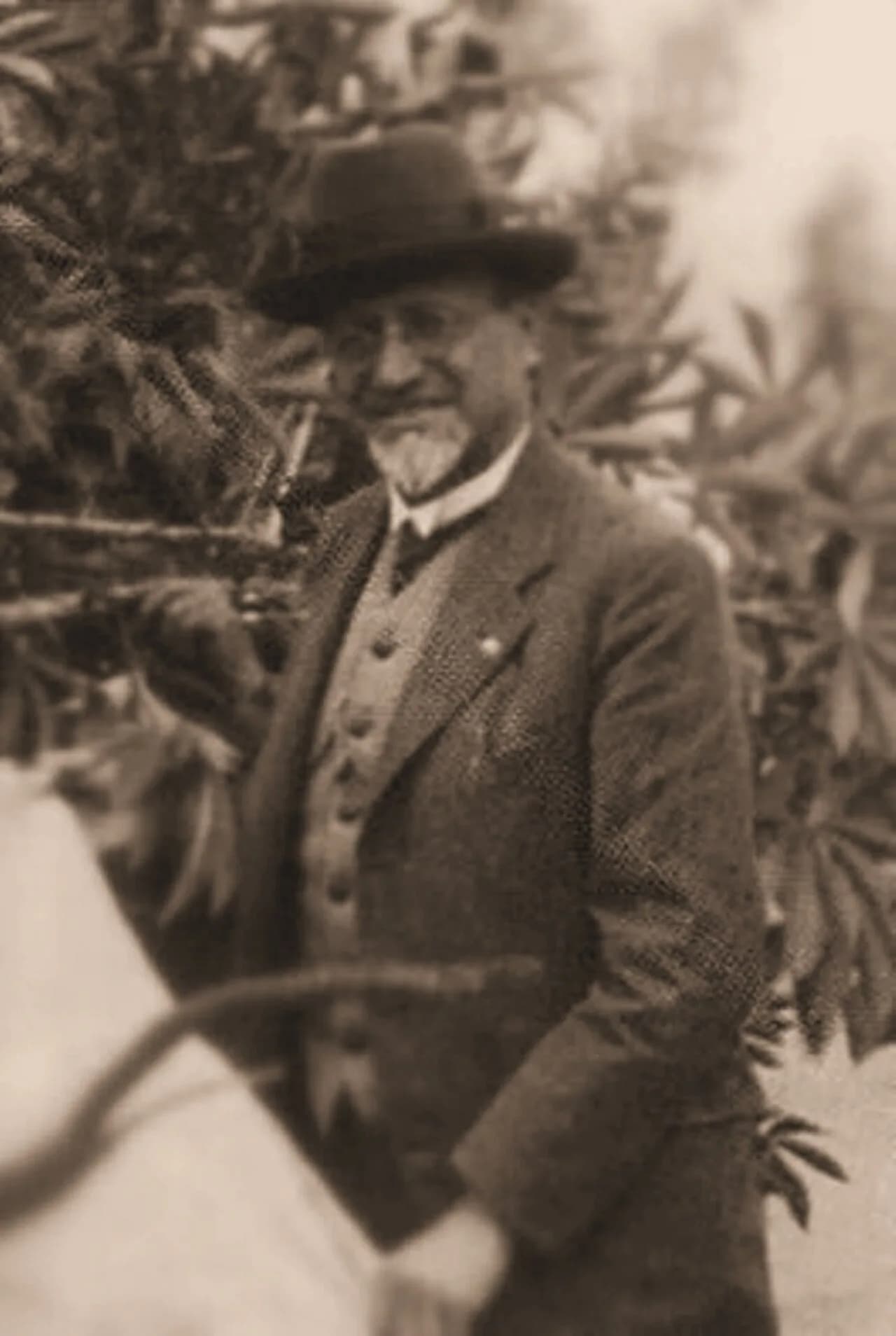 Mario Calvino