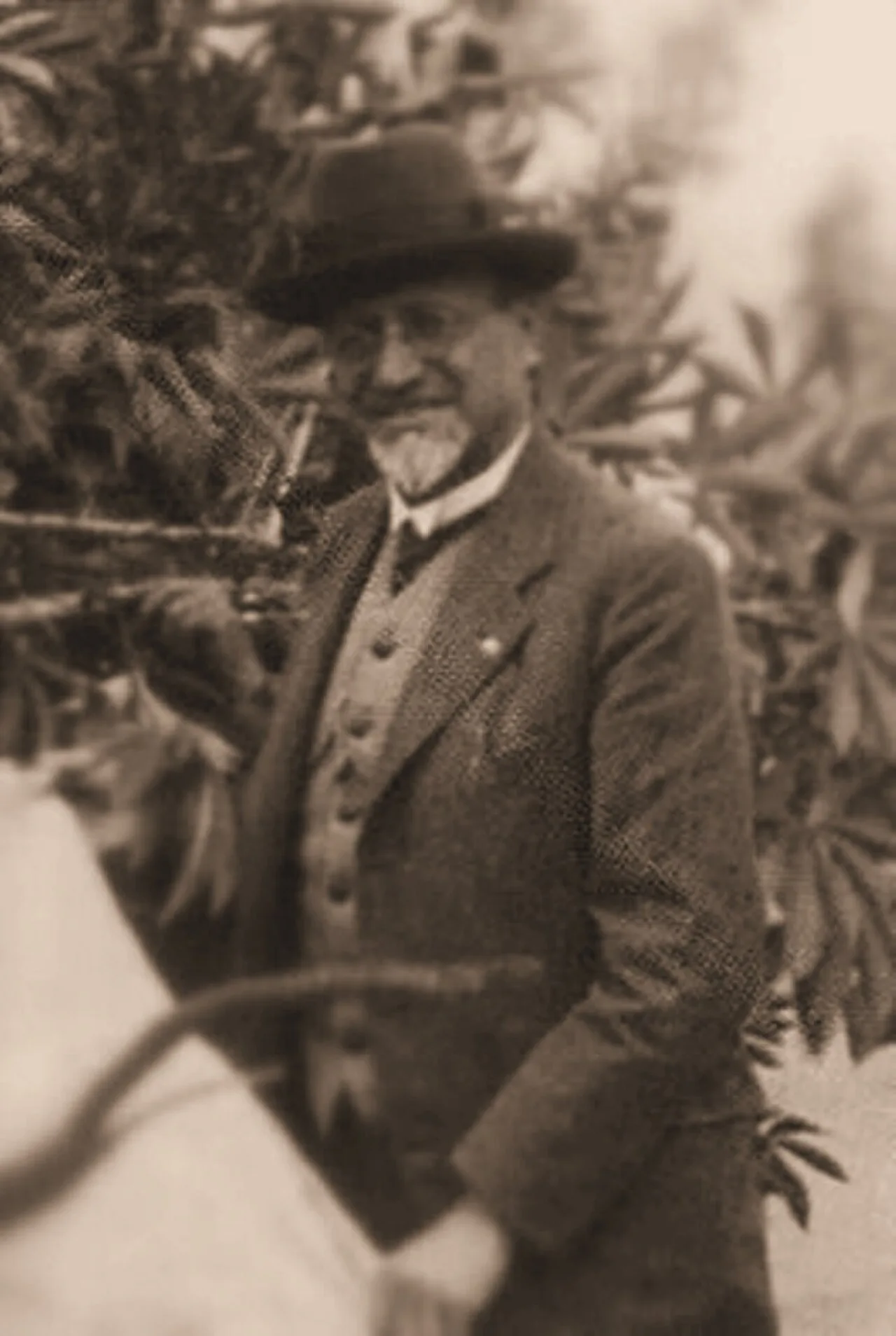 Mario Calvino