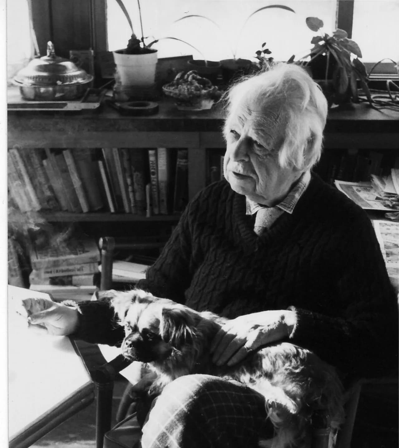 Thomas Goddard Bergin