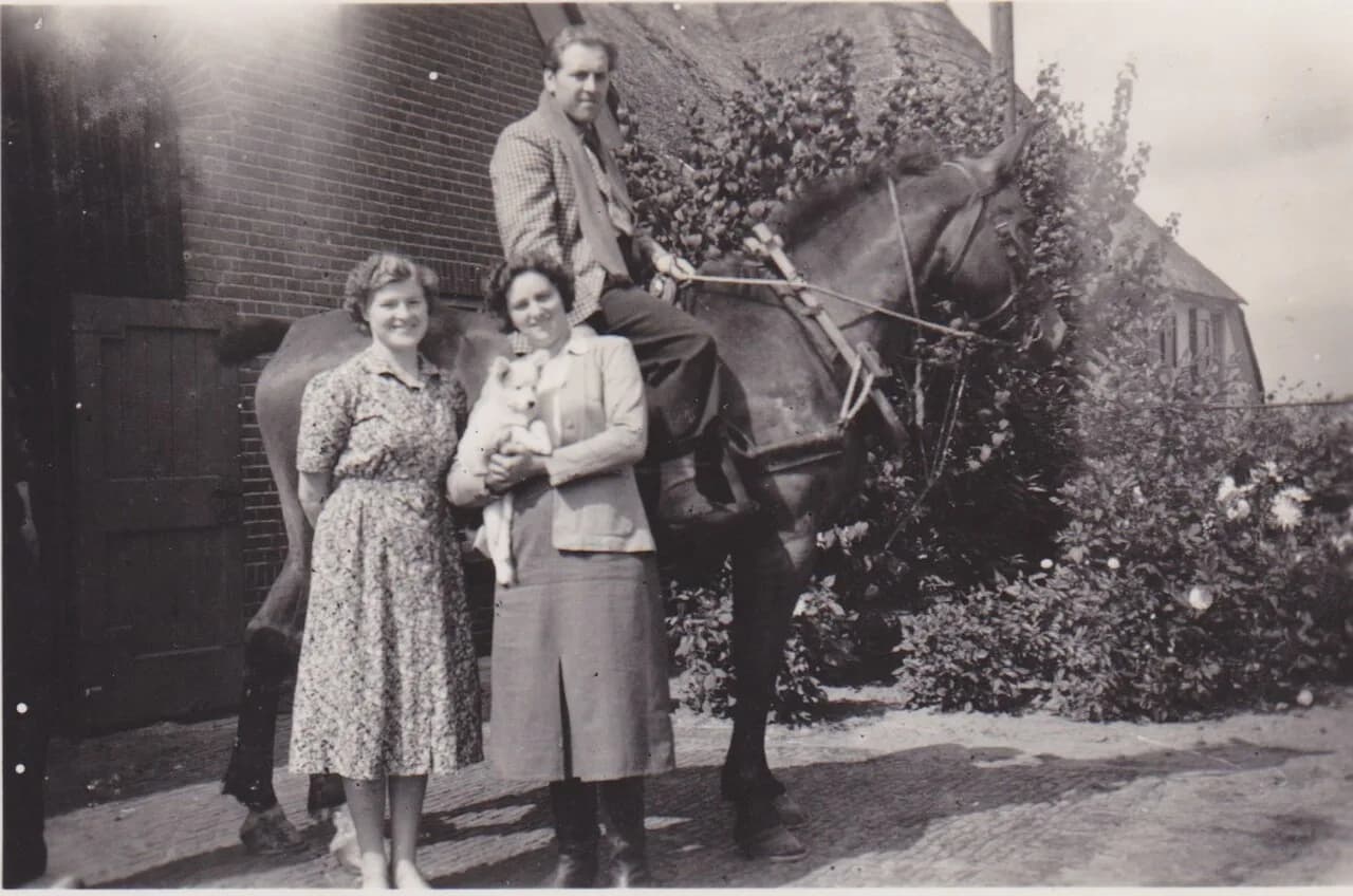 Piet Struijk