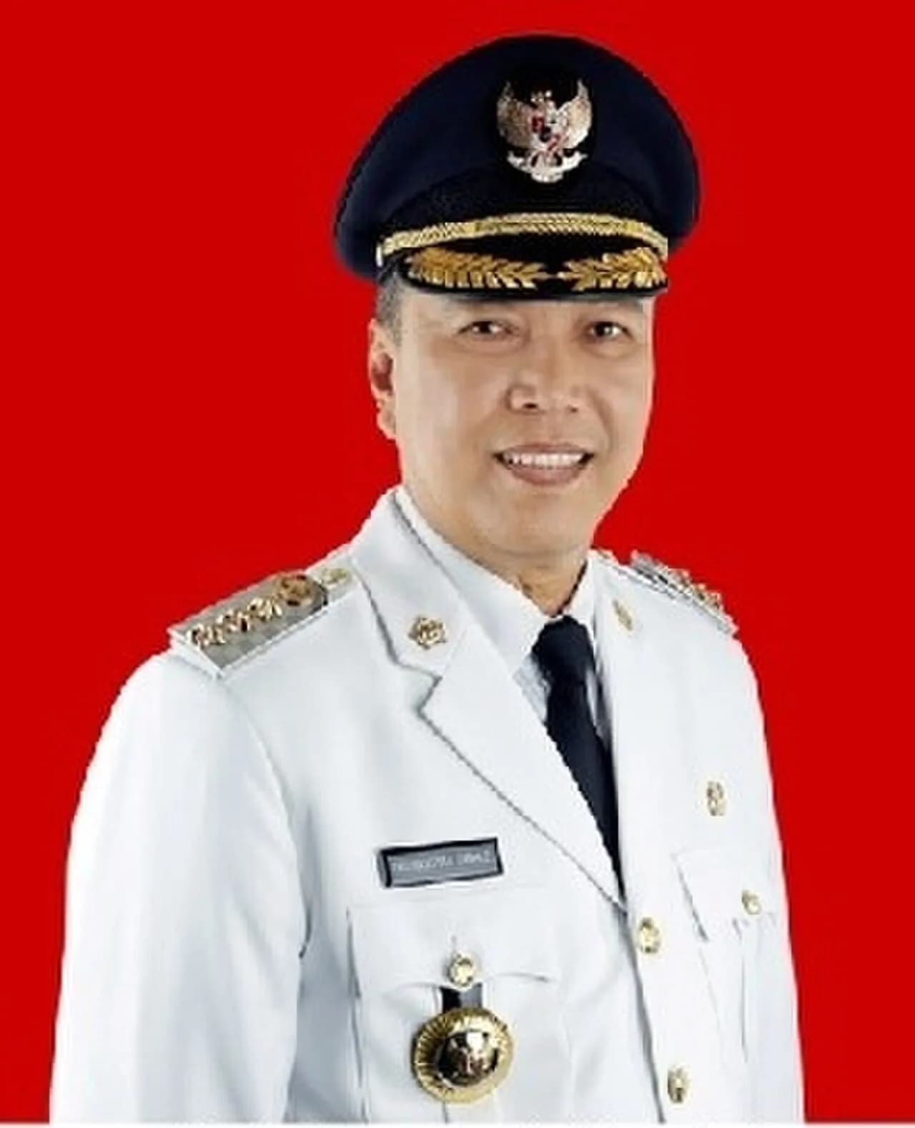 Irdinansyah Tarmizi