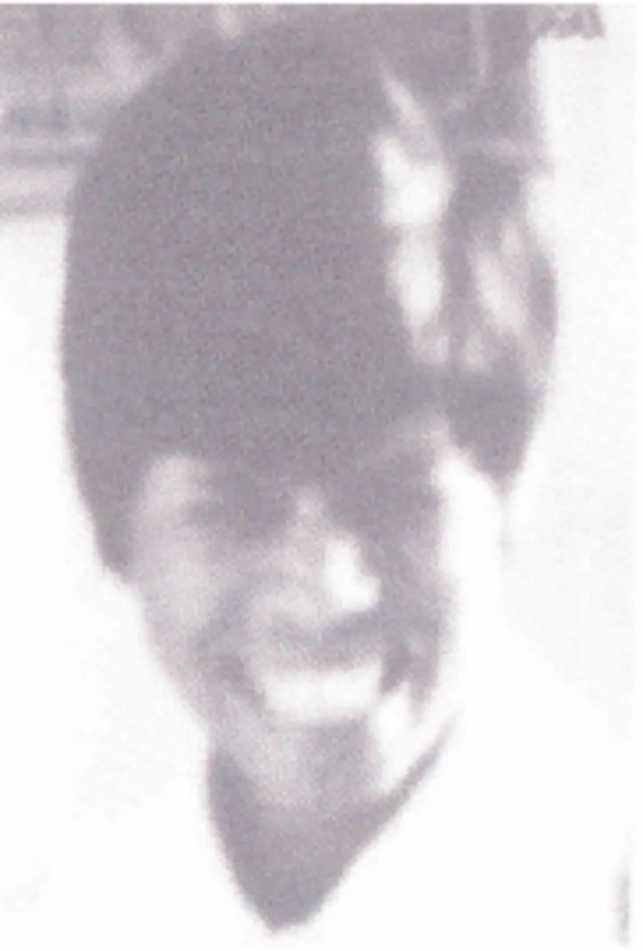 Alceri Maria Gomes da Silva
