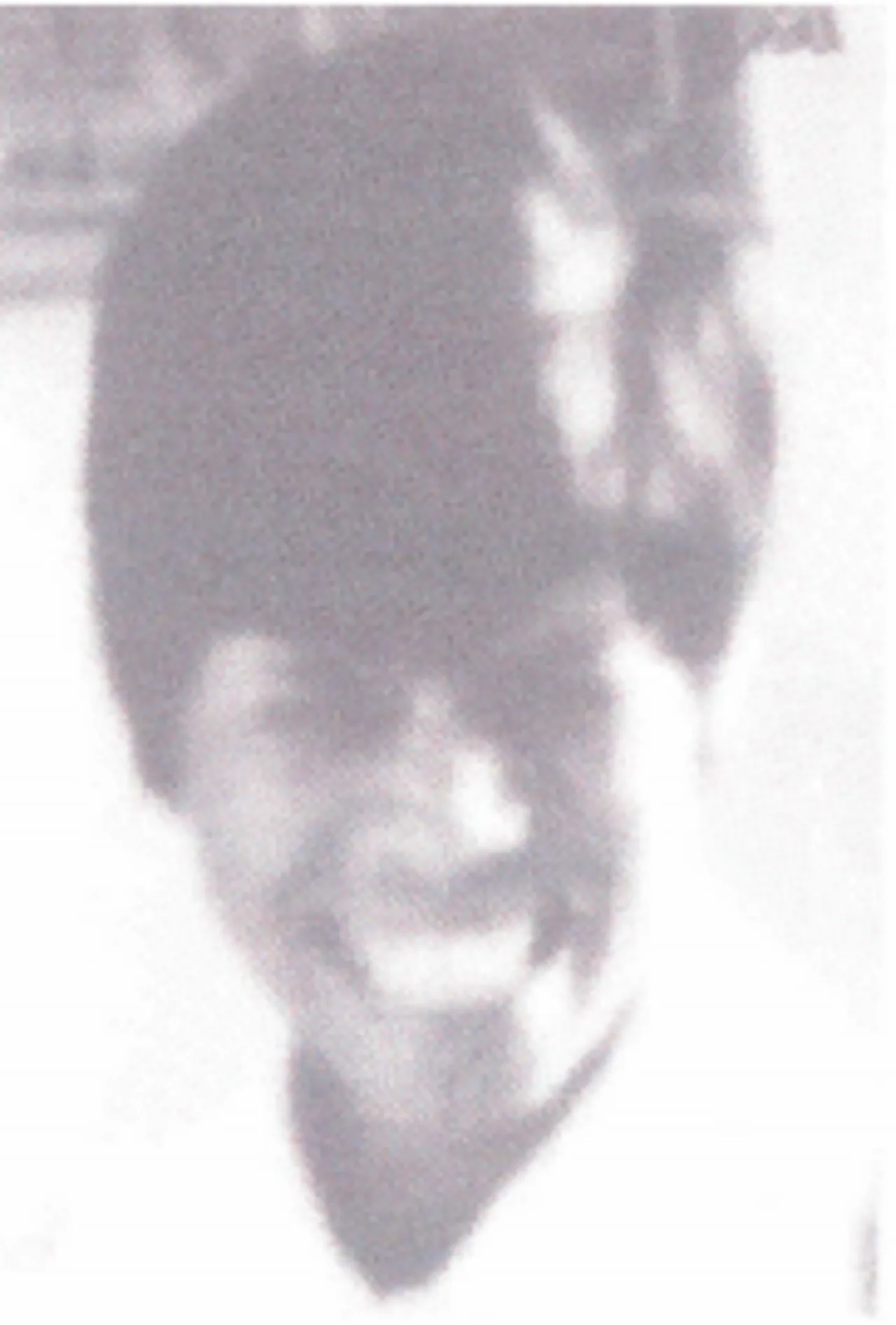 Alceri Maria Gomes da Silva