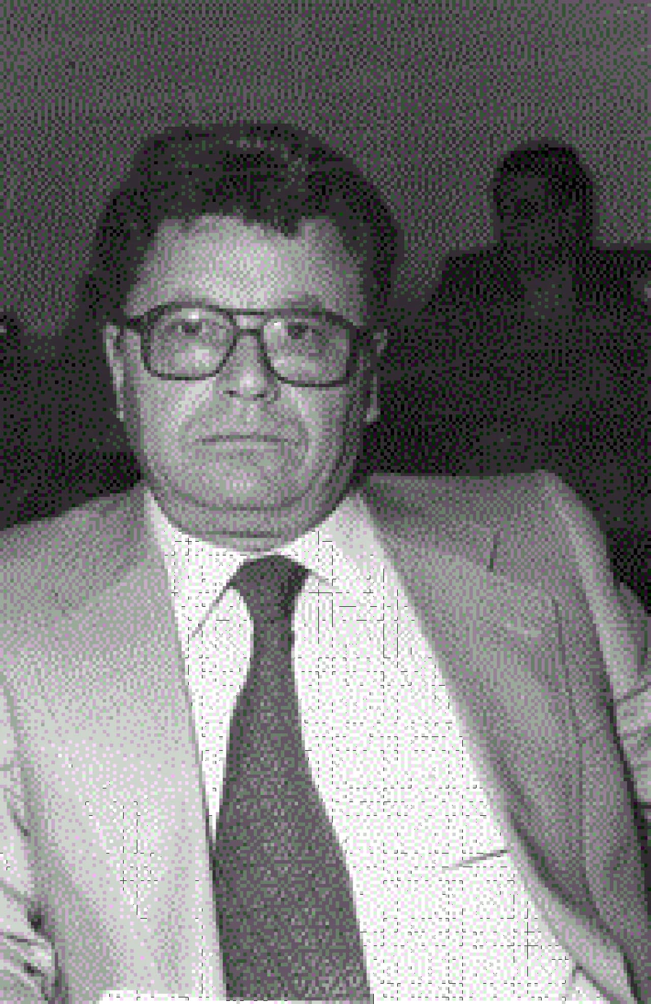 Dino Raugi