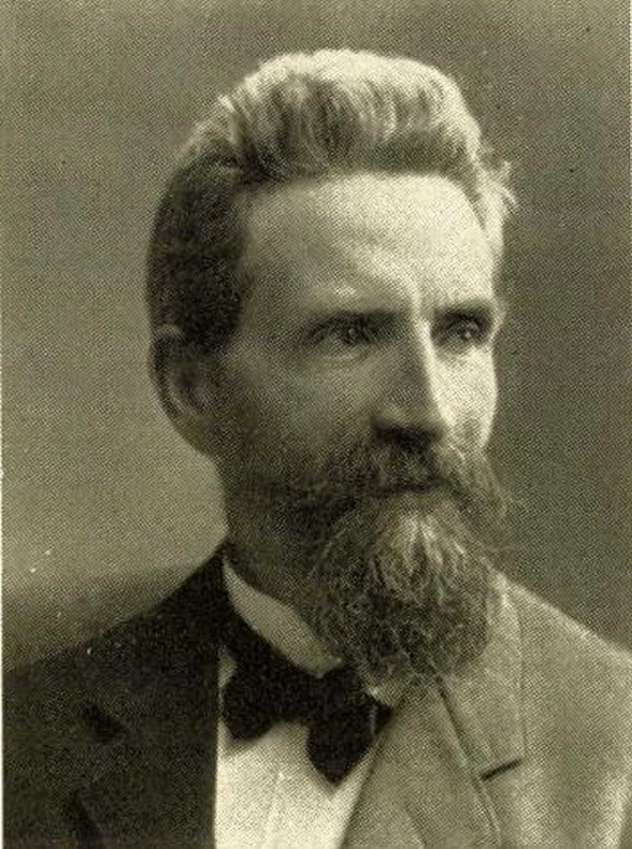 David P. Kvile