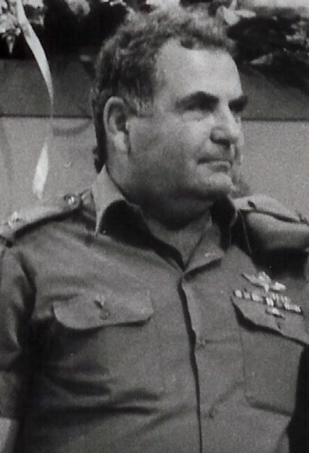 Amnon Eshkol