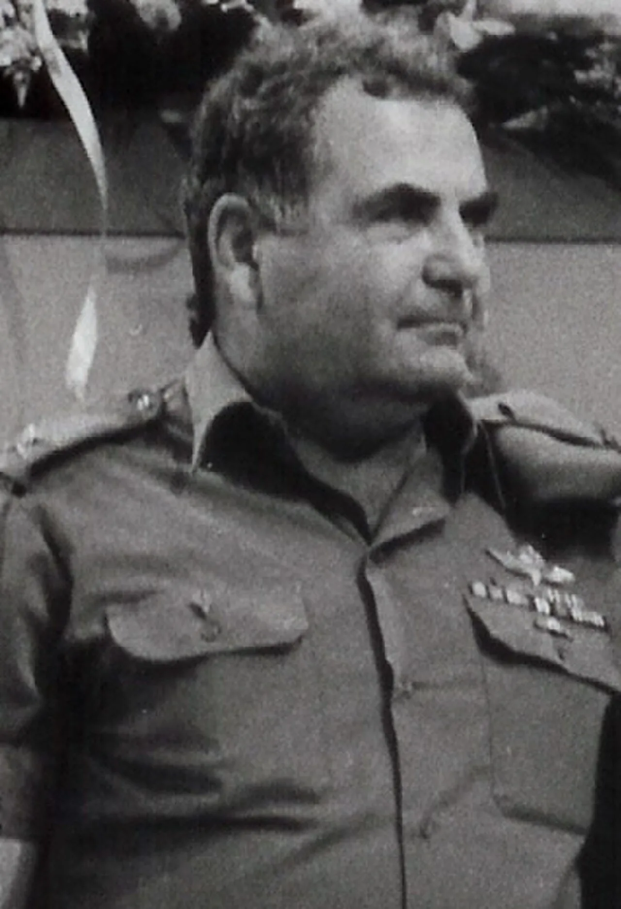 Amnon Eshkol