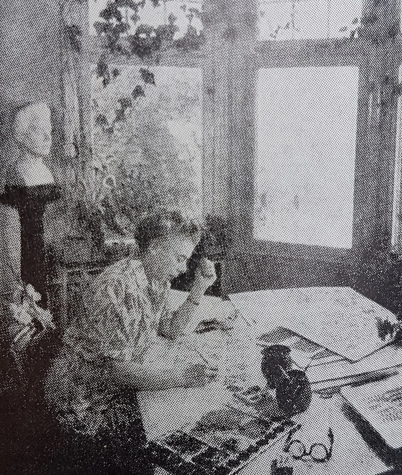 Sofia Widén