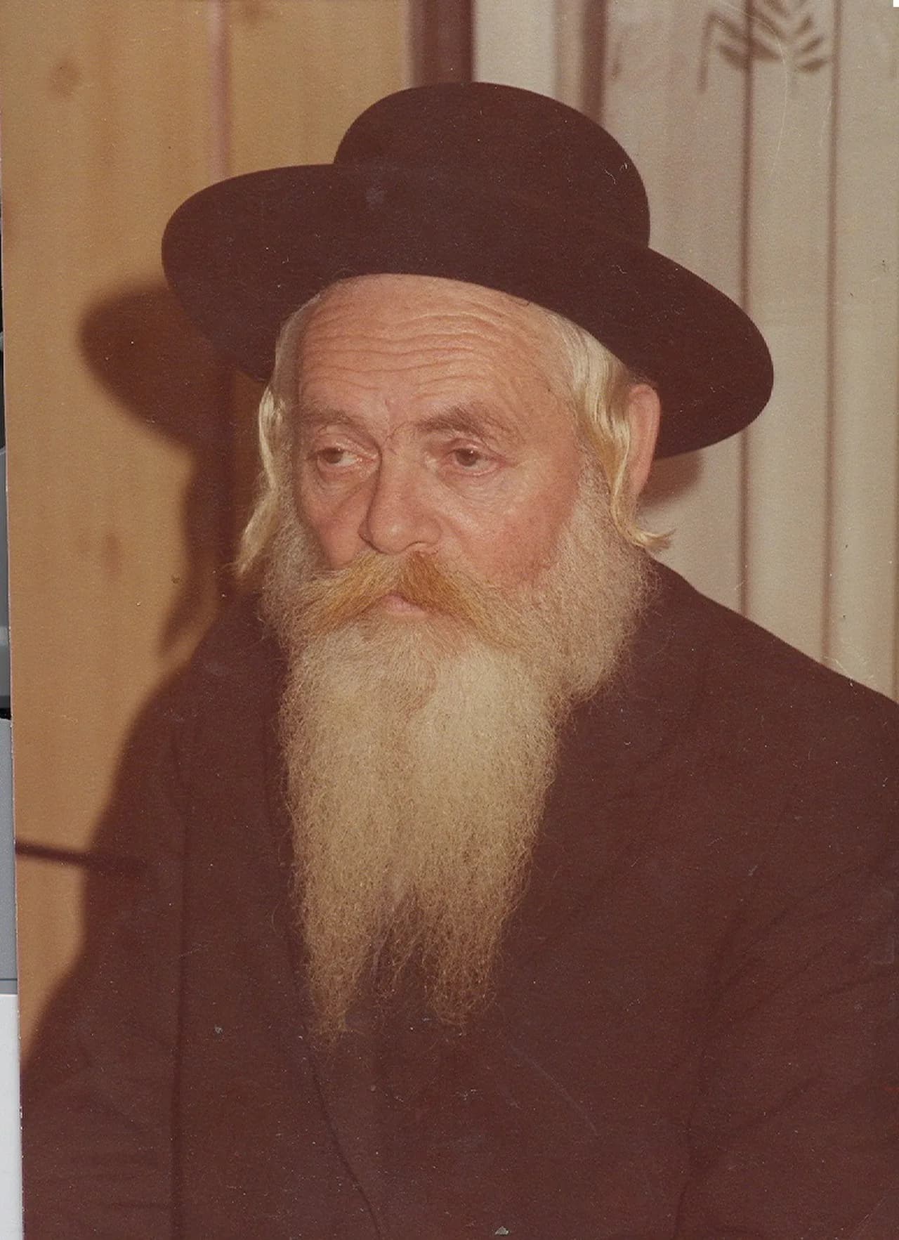 Yehuda Shapira