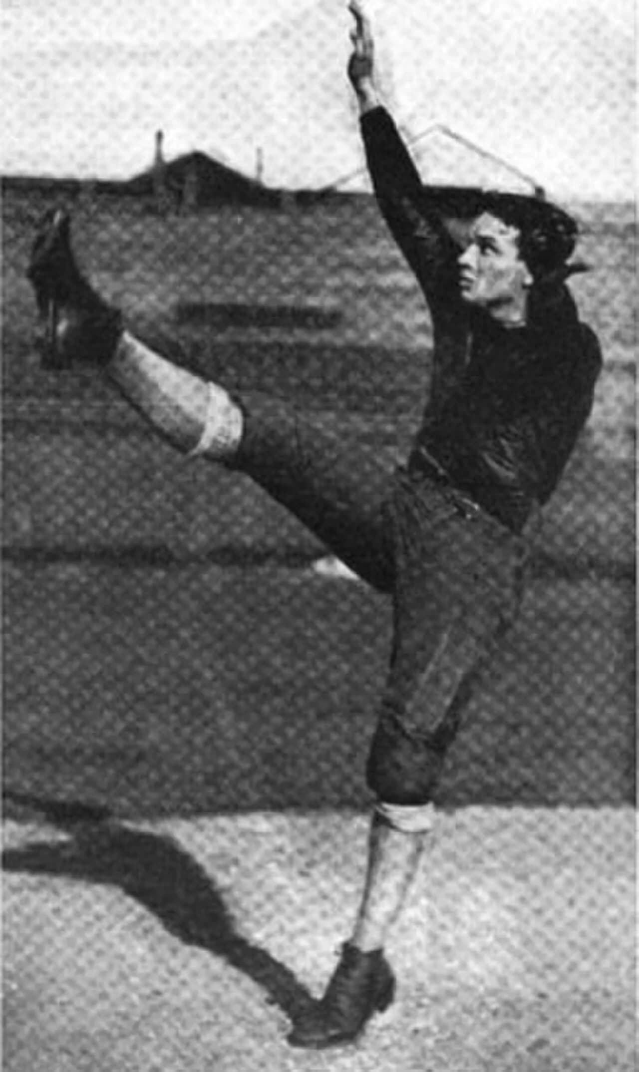 Judy Harlan