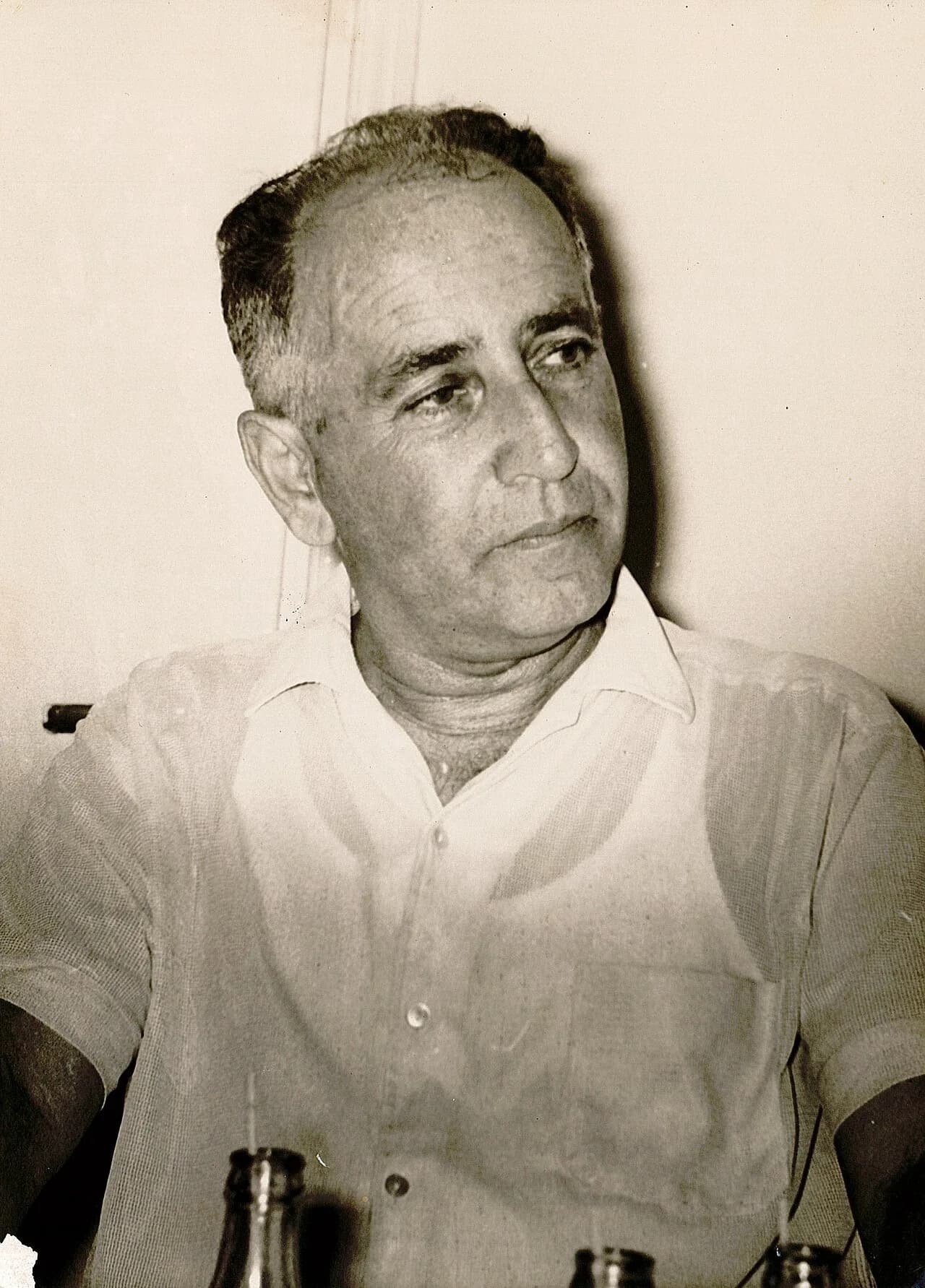 Peretz Merchav