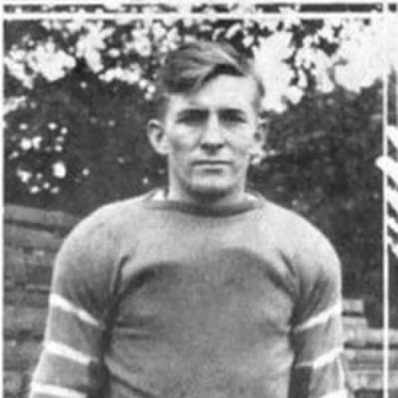 Lee Tolley