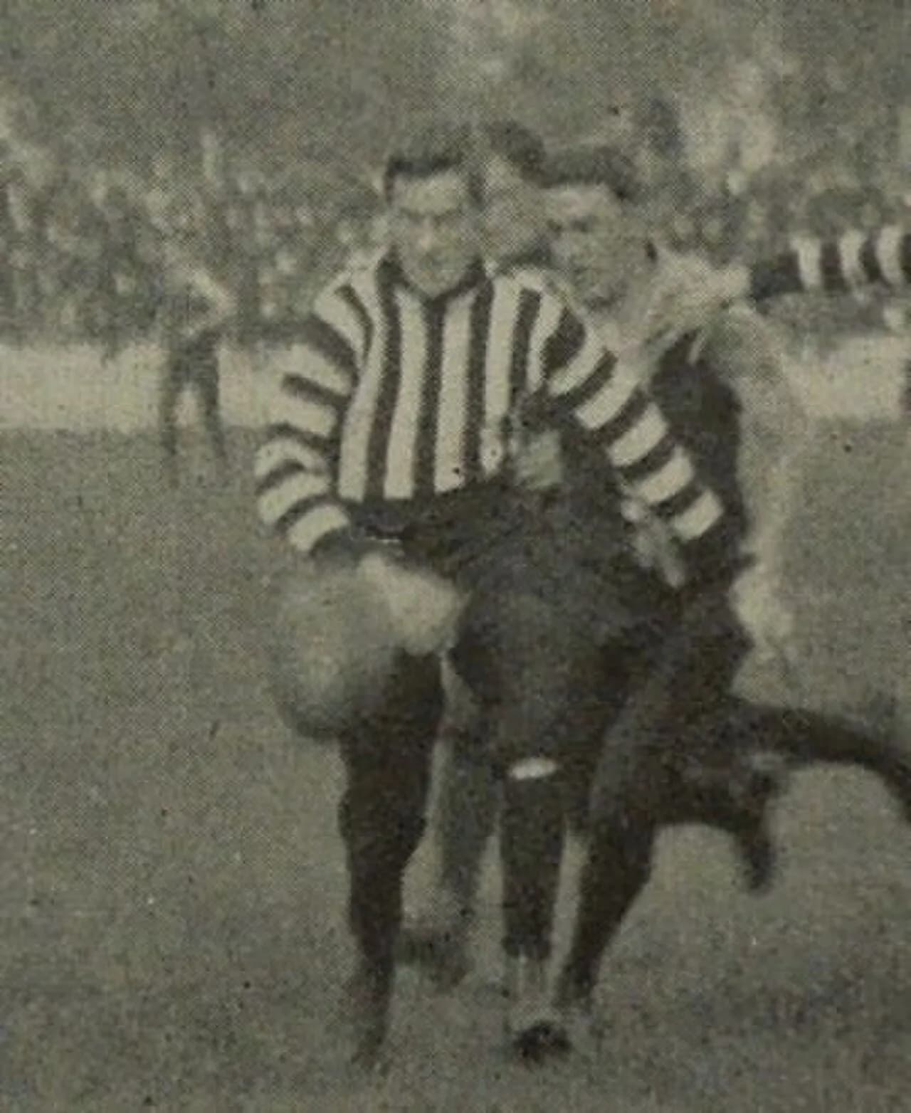 Alex Holland