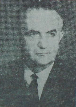 Aurel Moga
