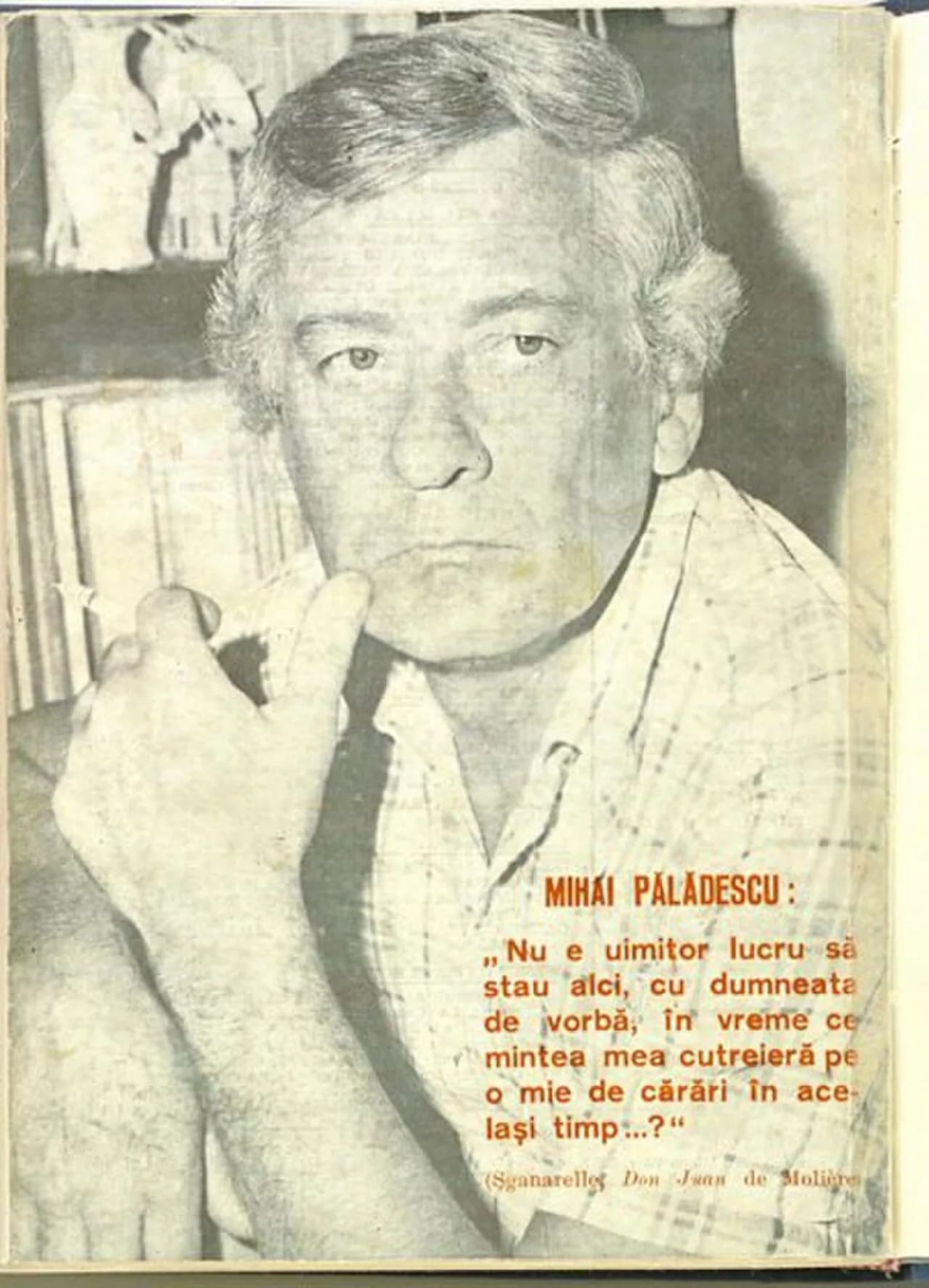 Mihai Paladescu