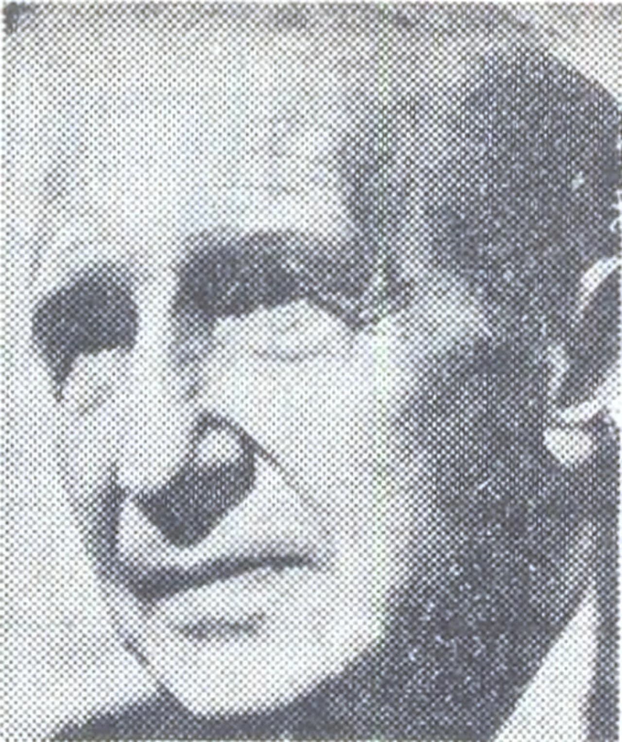 D. I. Suchianu