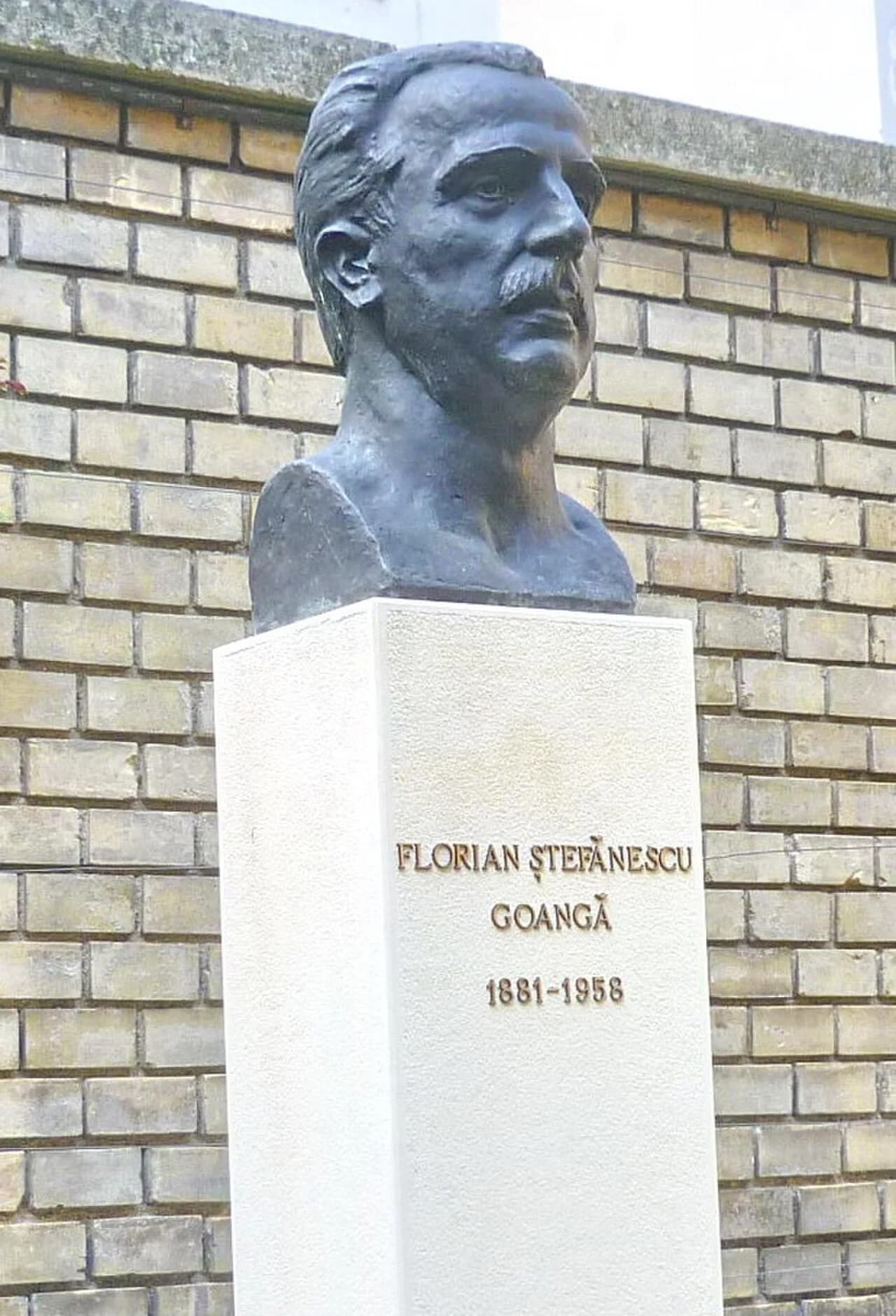 Florian Ștefanescu-Goangă