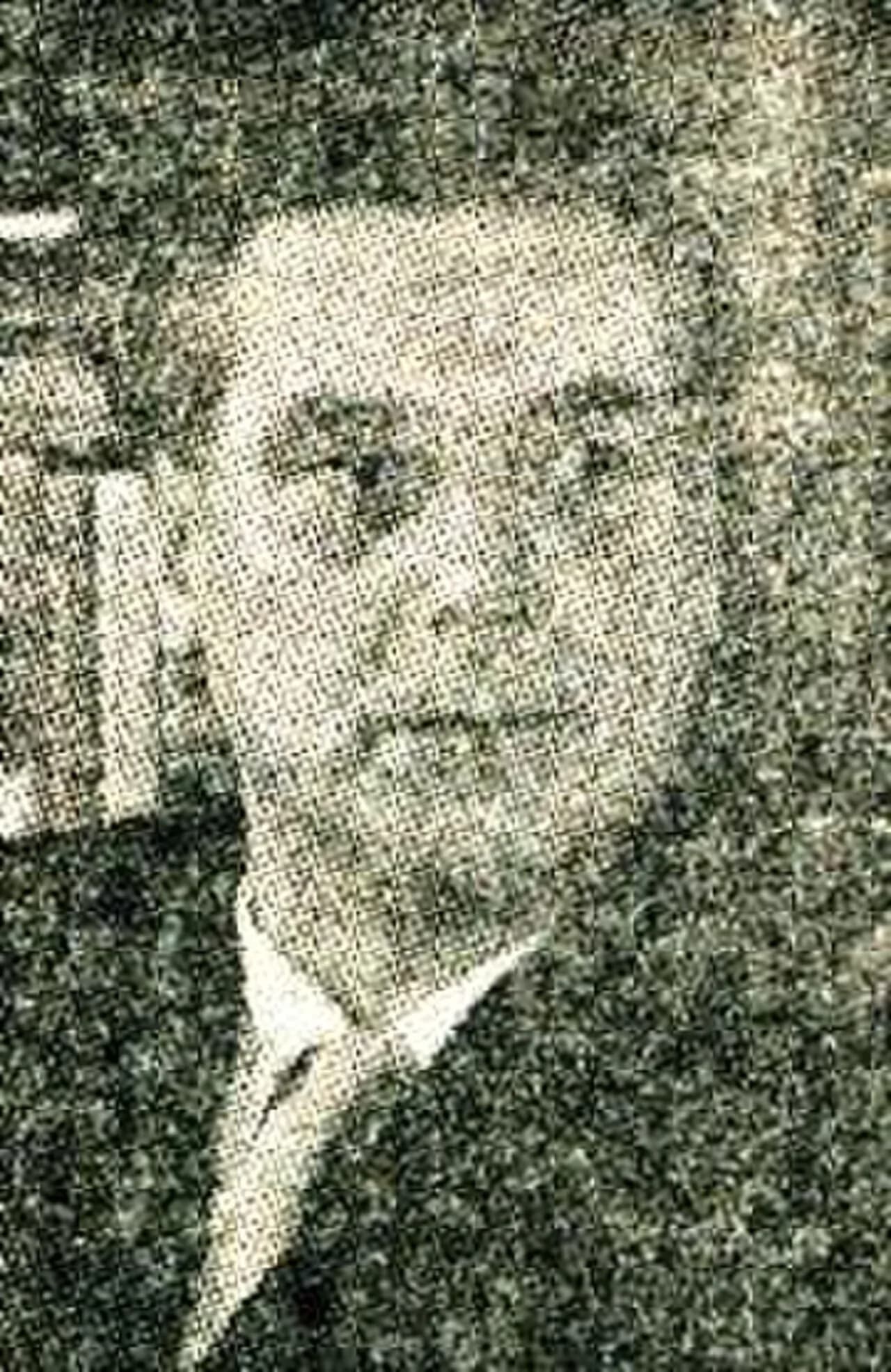 Marjan Mušič