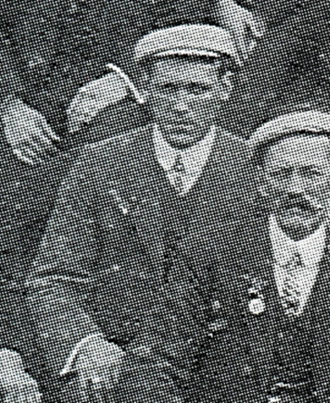 Wal Burleigh